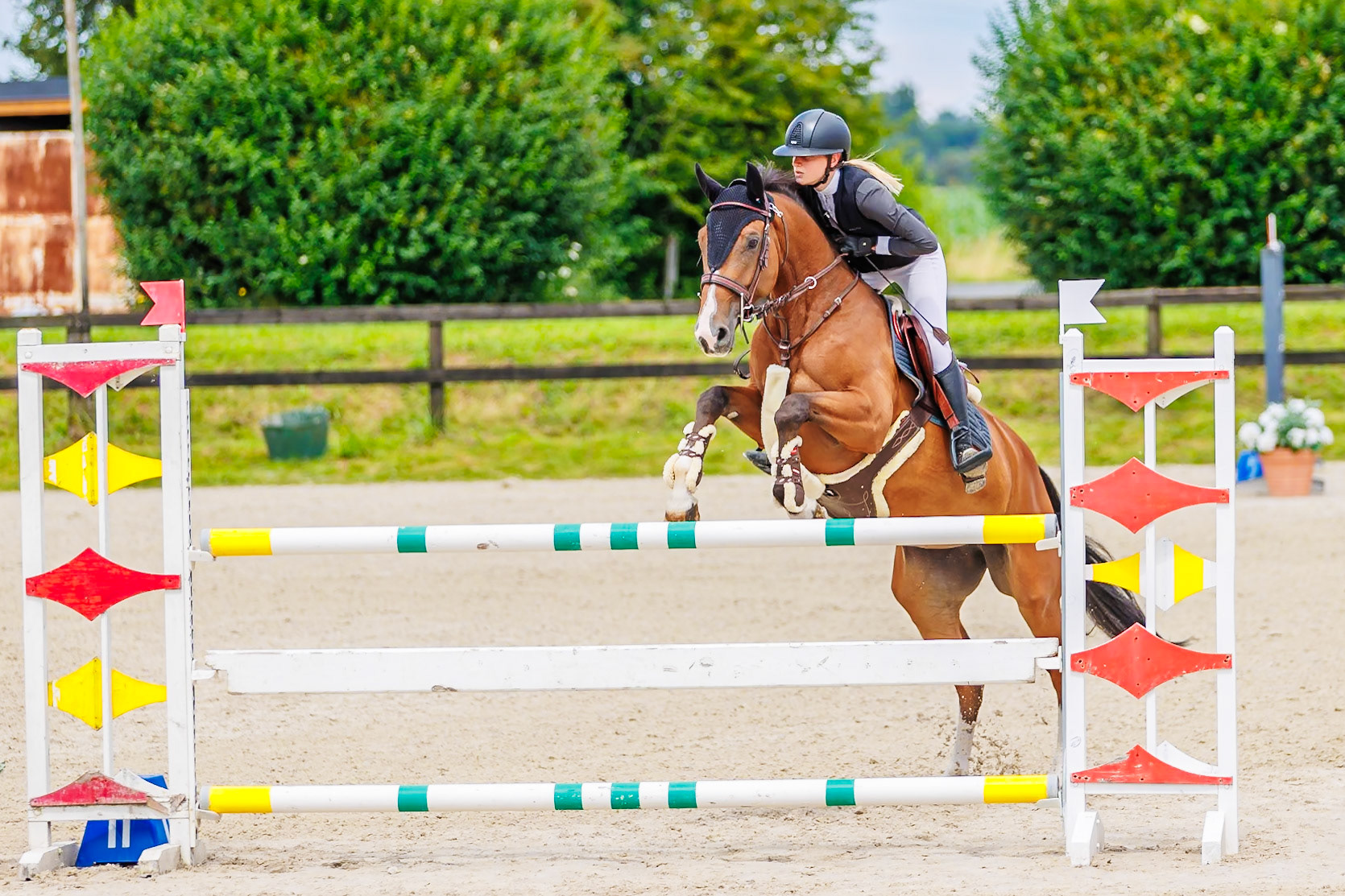 13 juillet 2024 / Haras de Liverdy-en-Brie / Seine-et-Marne / Saut d'obstacles Amateur 1  Grand Prix (1.20 m)
