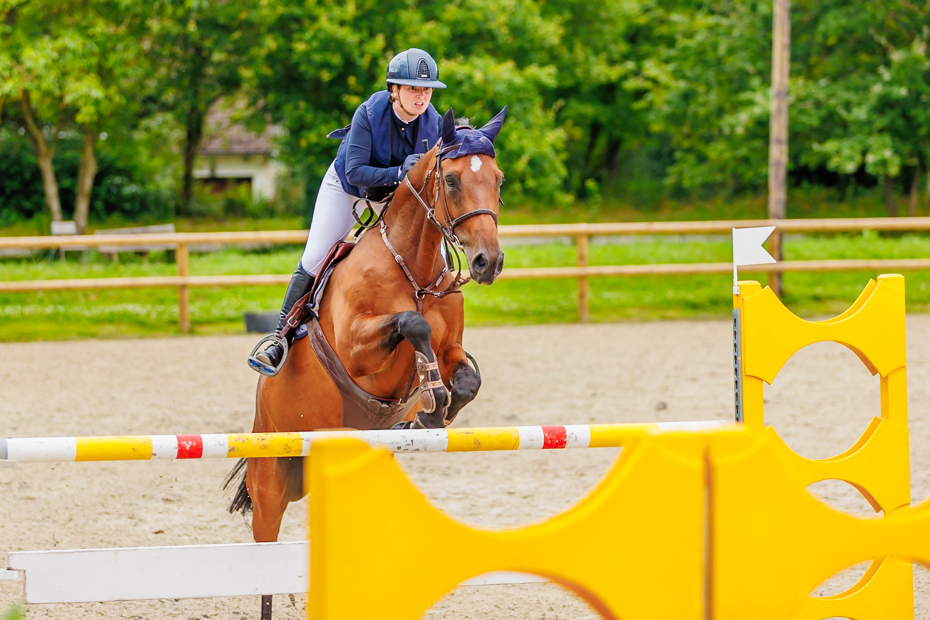 13 juillet 2024 / Haras de Liverdy-en-Brie / Seine-et-Marne / Saut d'obstacles Pro 3 Grand Prix (1.25 m)