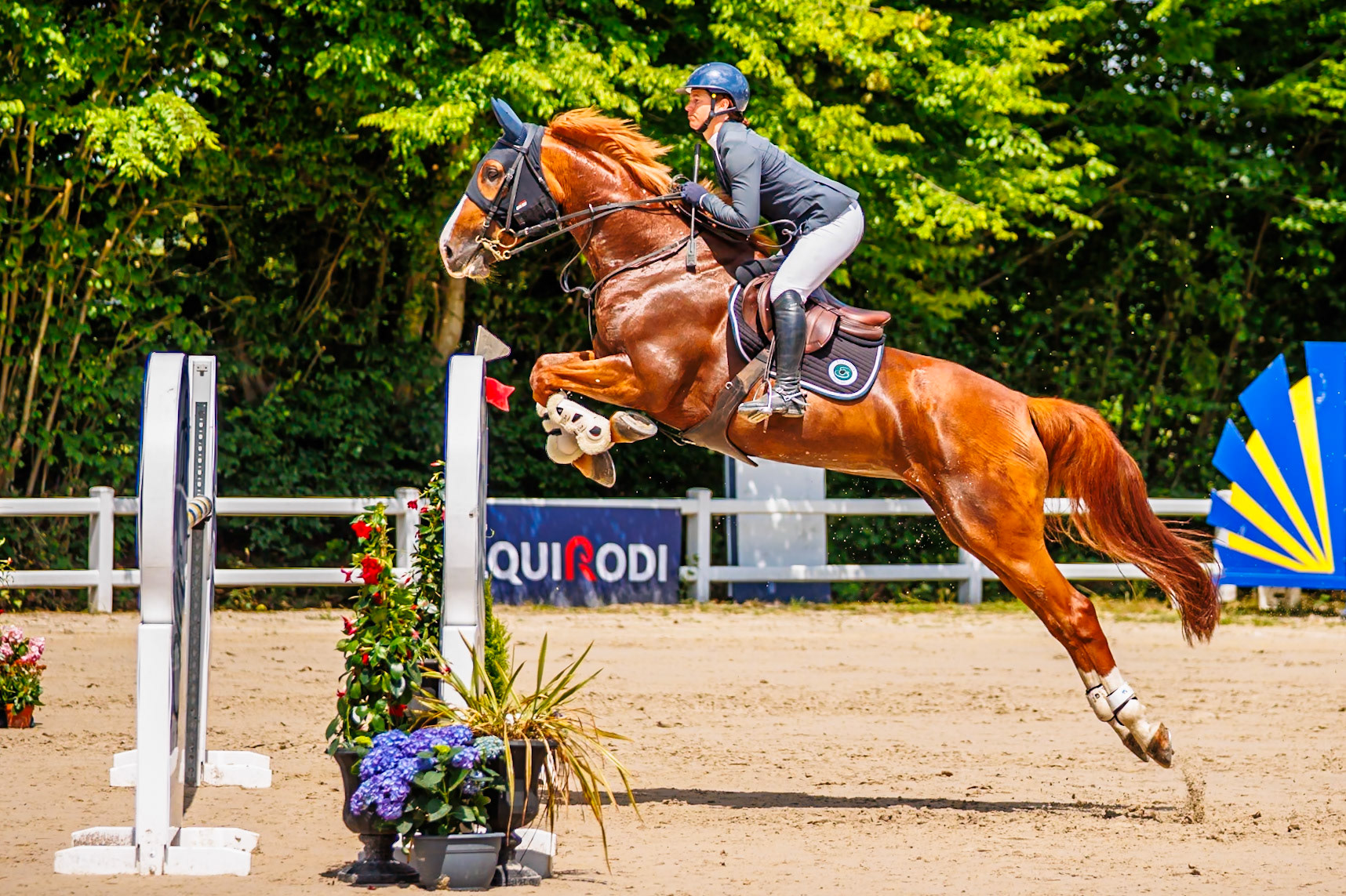 Royal Jump au Château de Brétichère 16