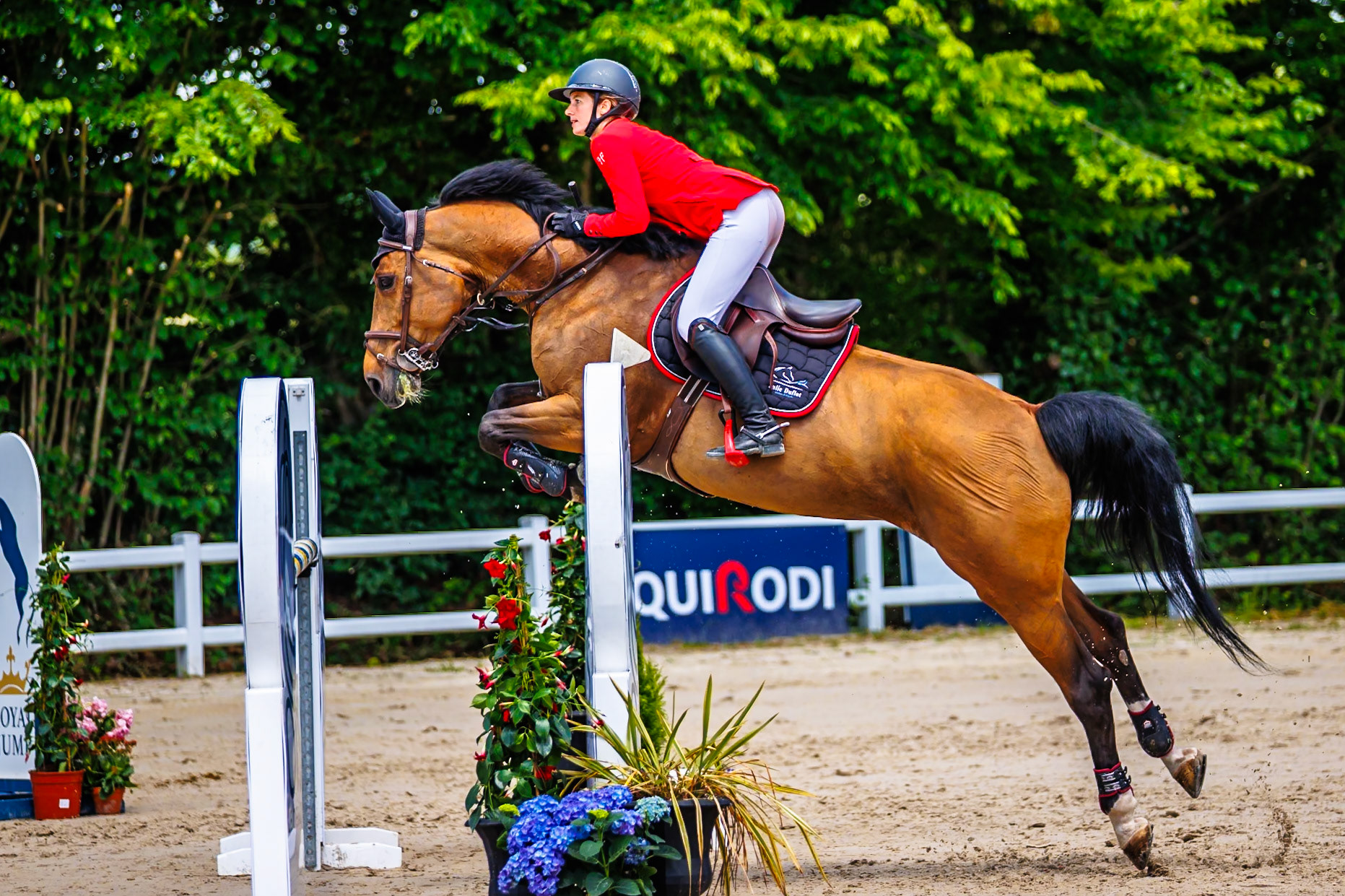 Royal Jump au Château de Brétichère 34