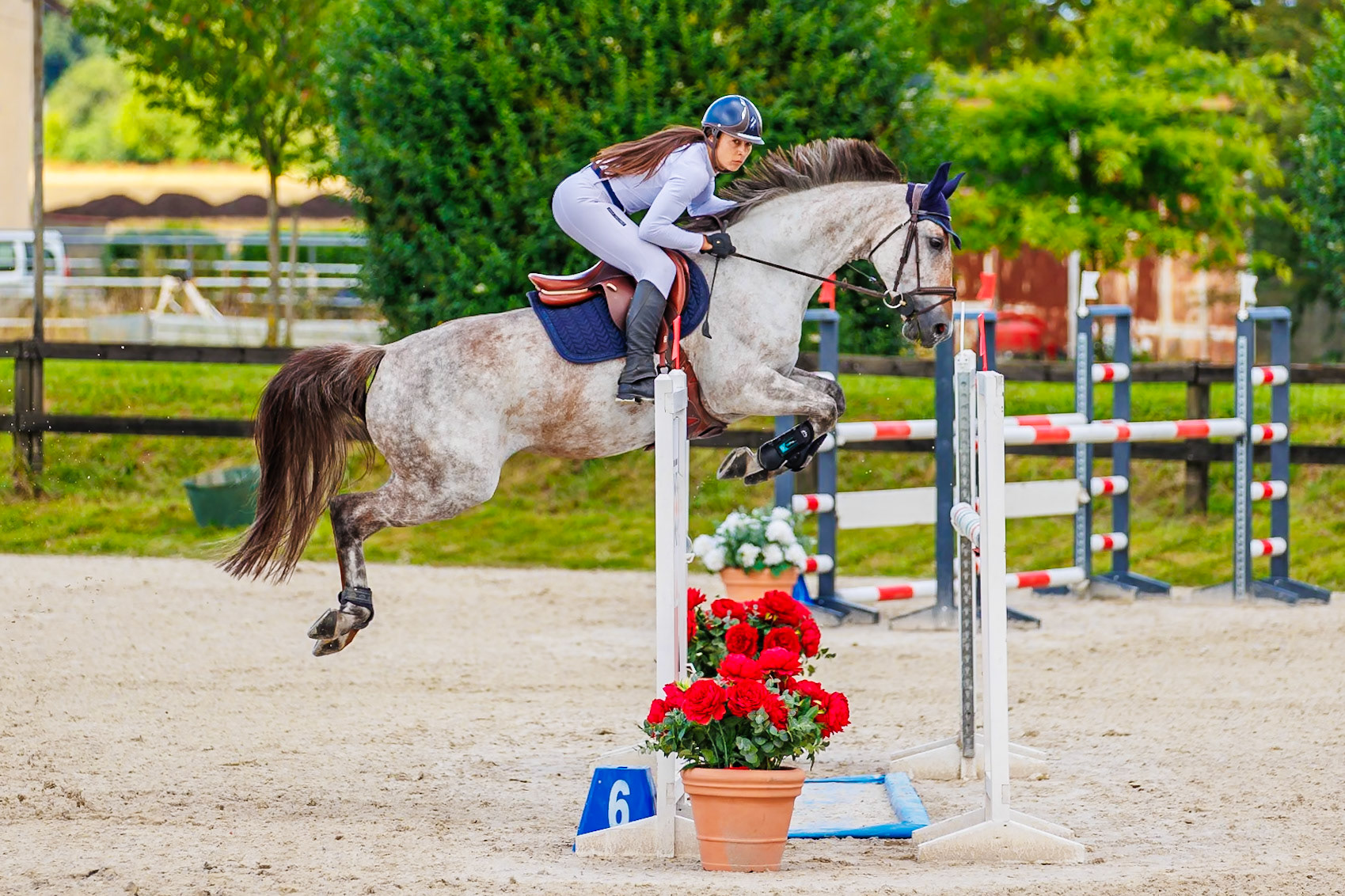 13 juillet 2024 / Haras de Liverdy-en-Brie / Seine-et-Marne / Saut d'obstacles Amateur 1  Grand Prix (1.20 m)