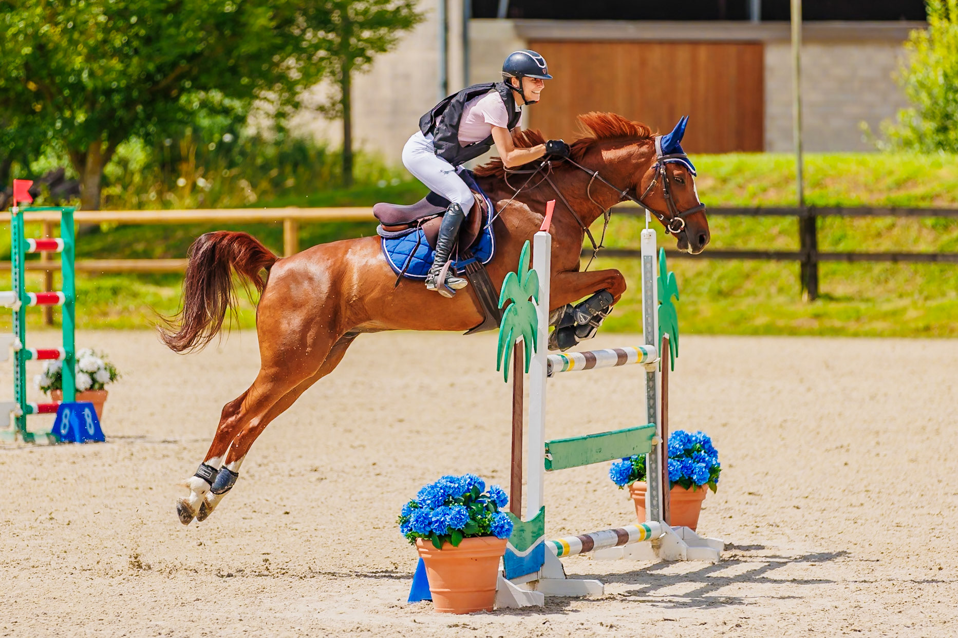 13 juillet 2024 / Haras de Liverdy-en-Brie / Seine-et-Marne / Saut d'obstacles Amateur 1  Grand Prix (1.20 m)