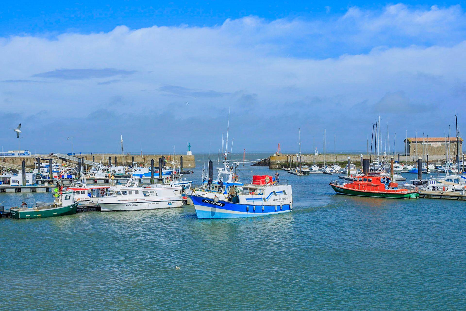 Noirmoutier, l'Herbaudière