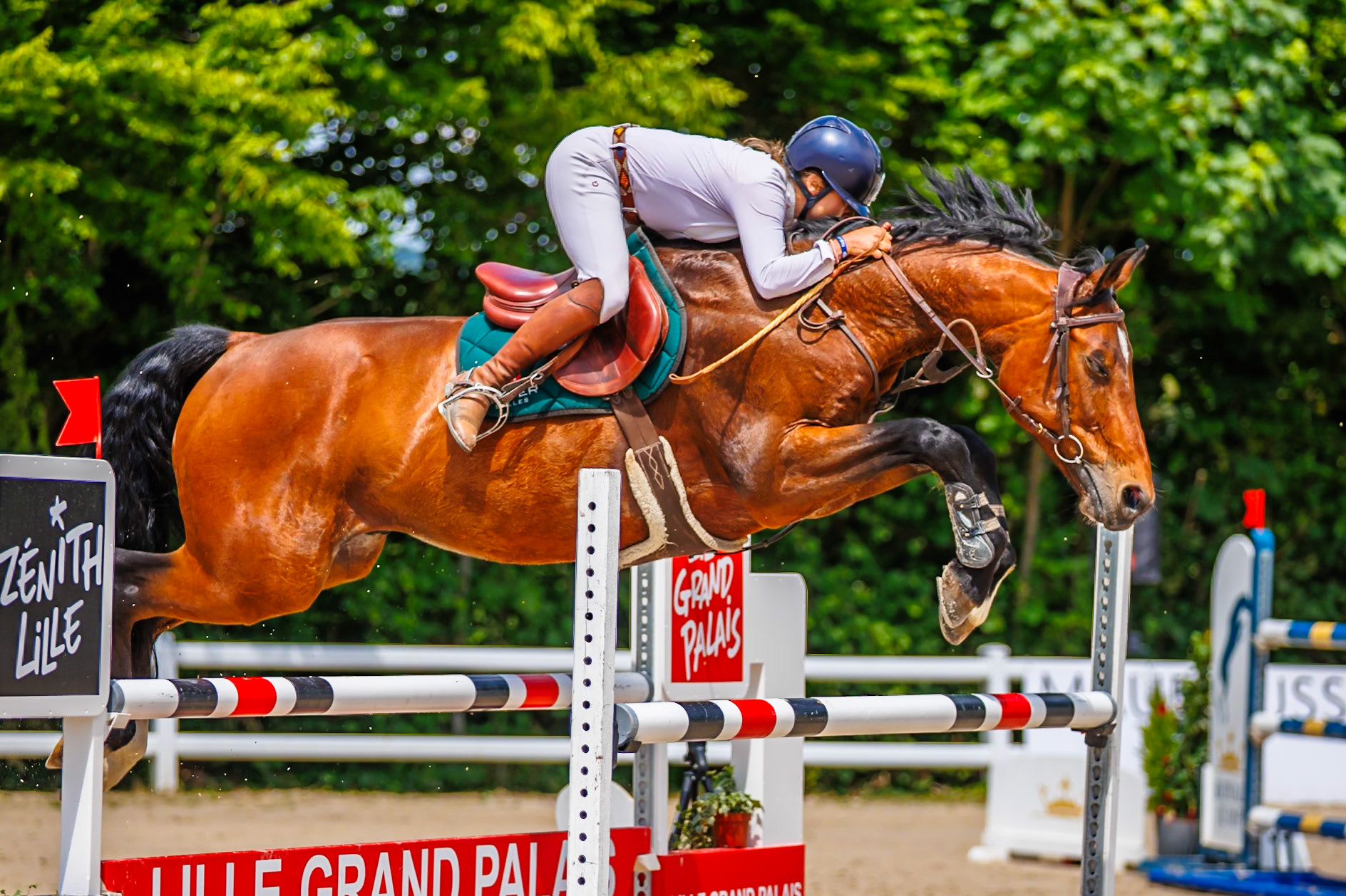 Royal Jump au Château de Brétichère 12