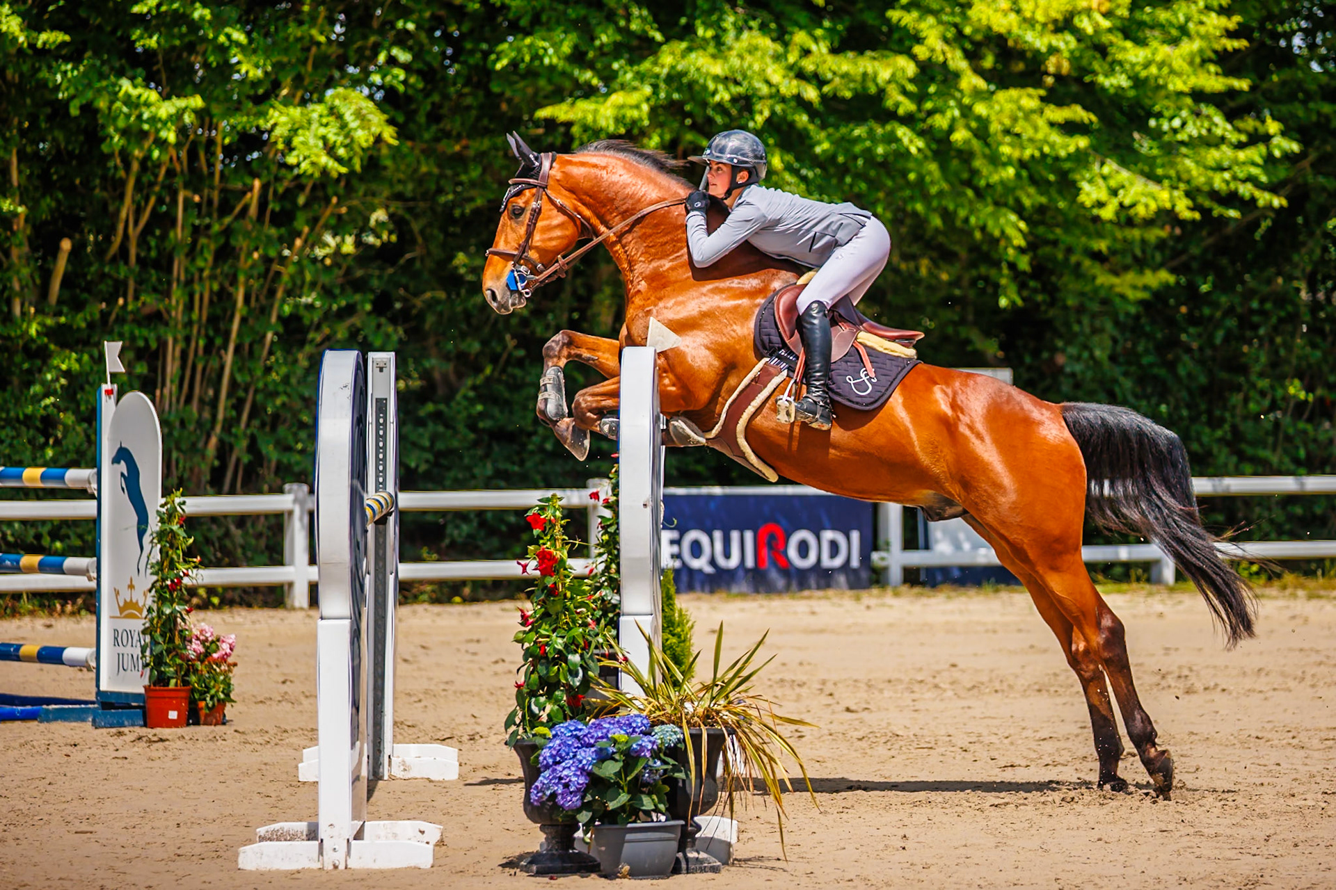 Royal Jump au Château de Brétichère 13
