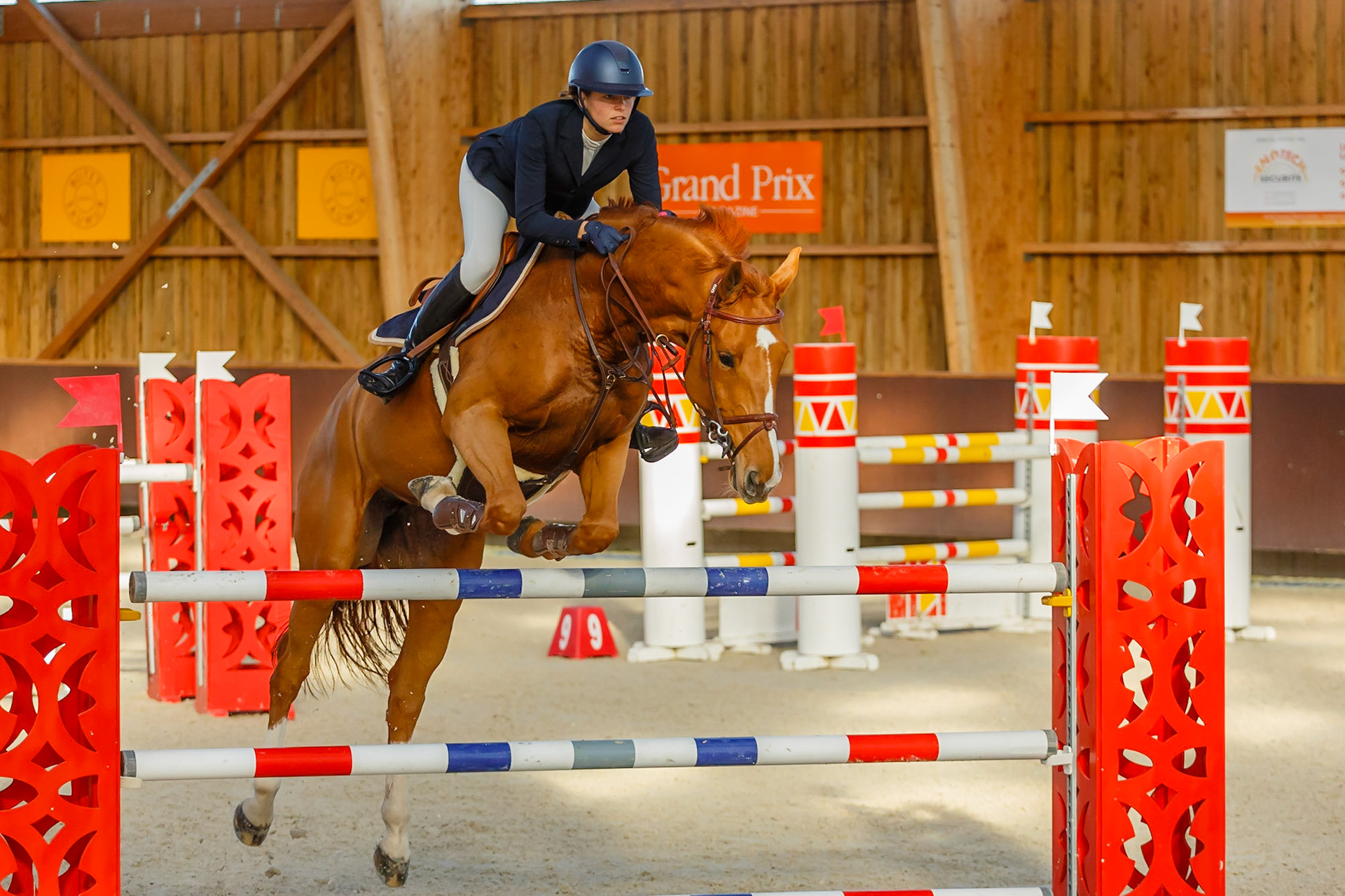 Concours hippique Liverdy-en Brie (77)