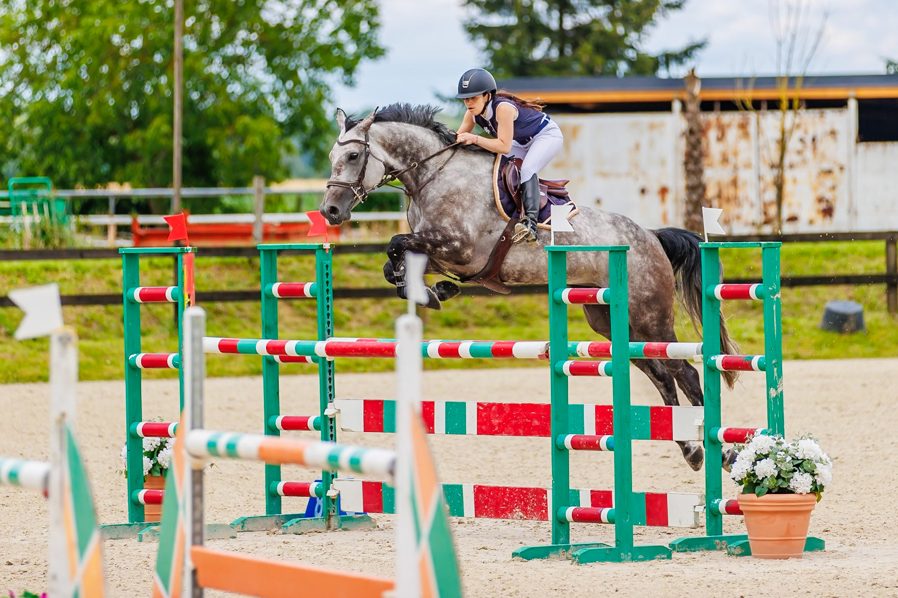 13 juillet 2024 / Haras de Liverdy-en-Brie / Seine-et-Marne / Saut d'obstacles Pro 3 Grand Prix (1.25 m)