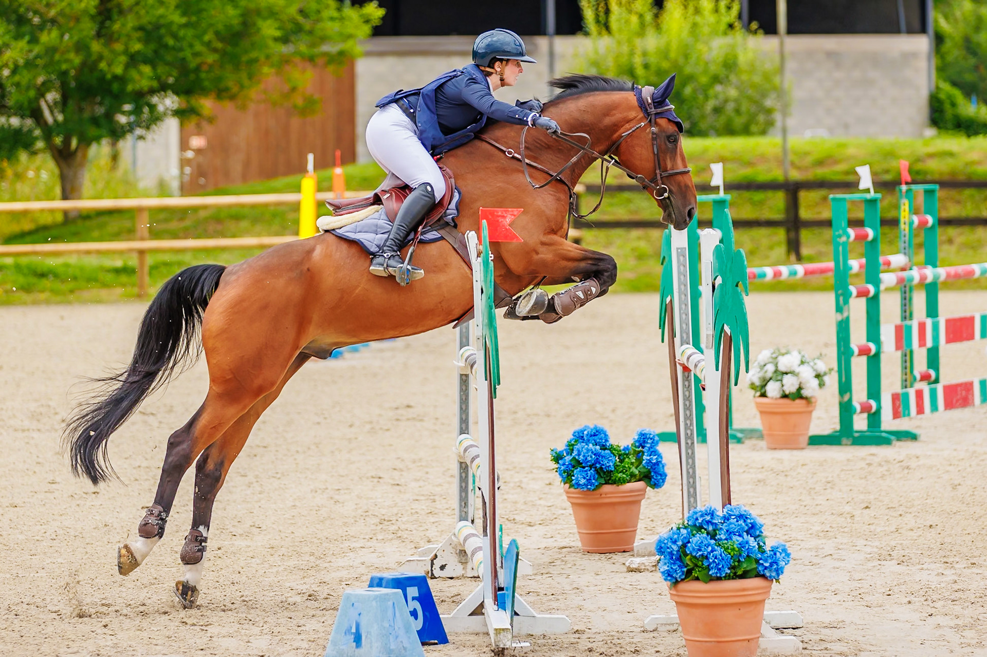 13 juillet 2024 / Haras de Liverdy-en-Brie / Seine-et-Marne / Saut d'obstacles Pro 3 Grand Prix (1.25 m)