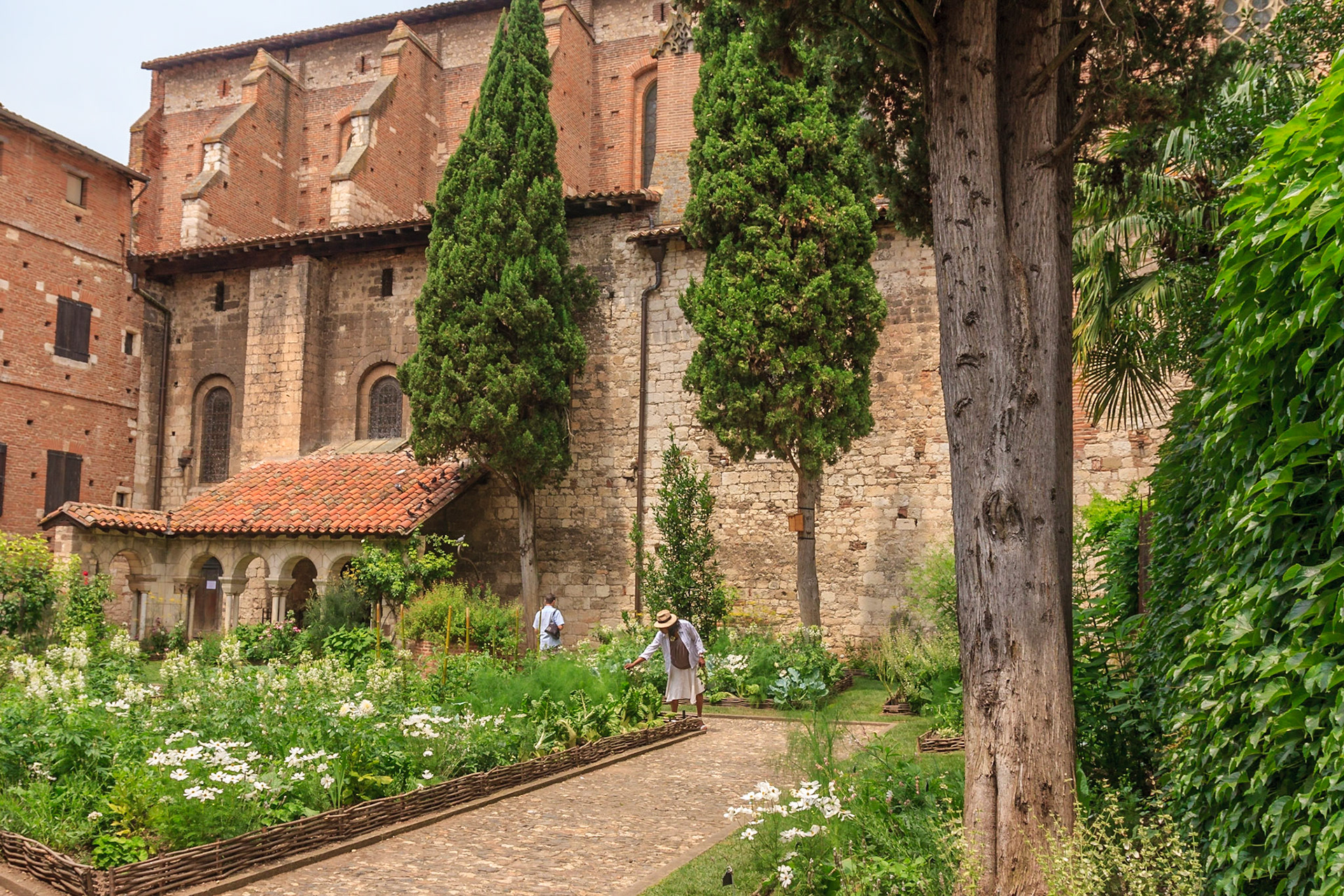 Albi
