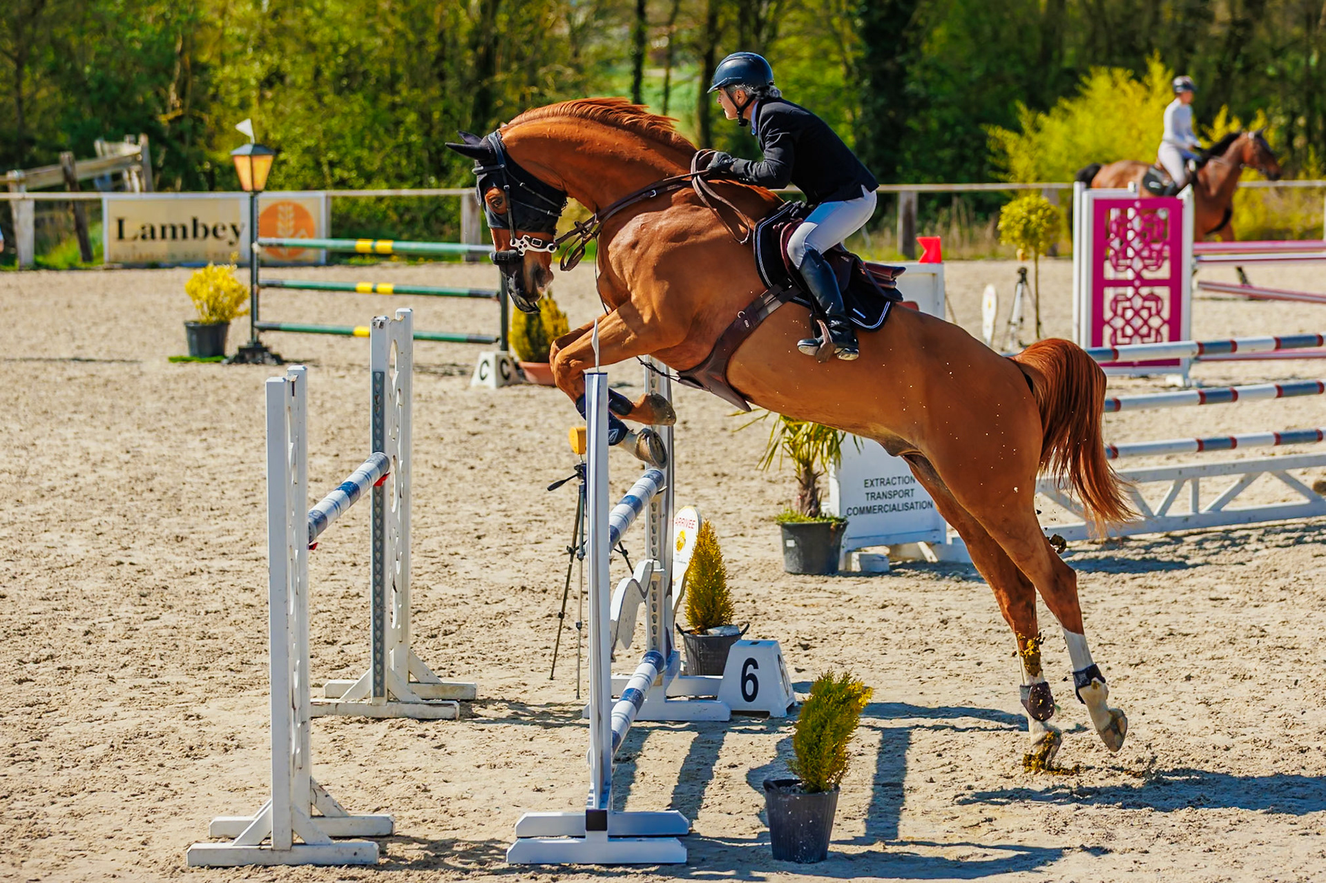 CSO Haras de Monthomé 60