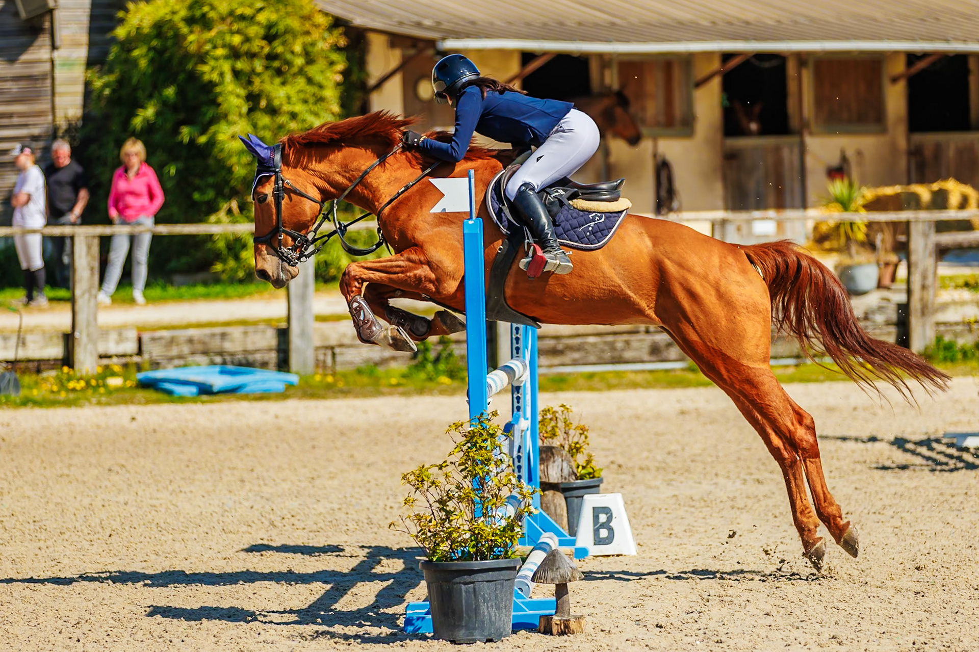 CSO Haras de Monthomé 43