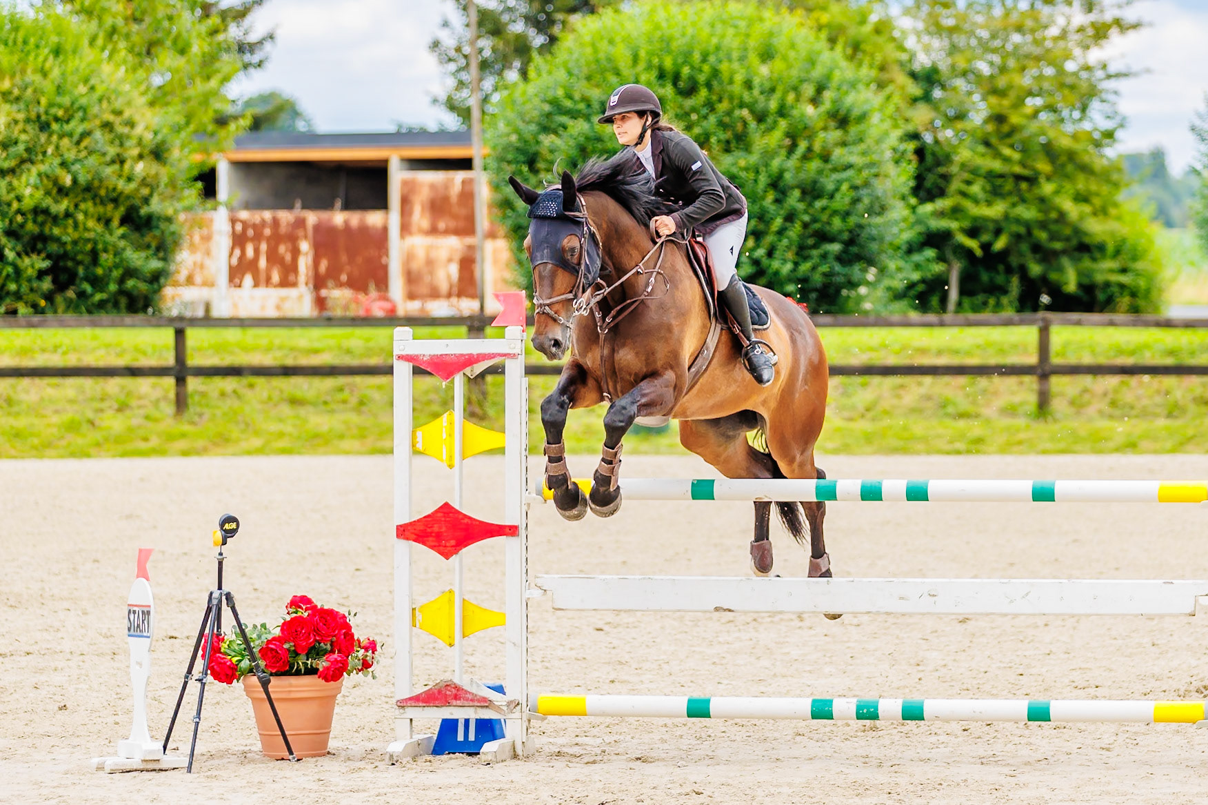 13 juillet 2024 / Haras de Liverdy-en-Brie / Seine-et-Marne / Saut d'obstacles Pro 3 Grand Prix (1.25 m)