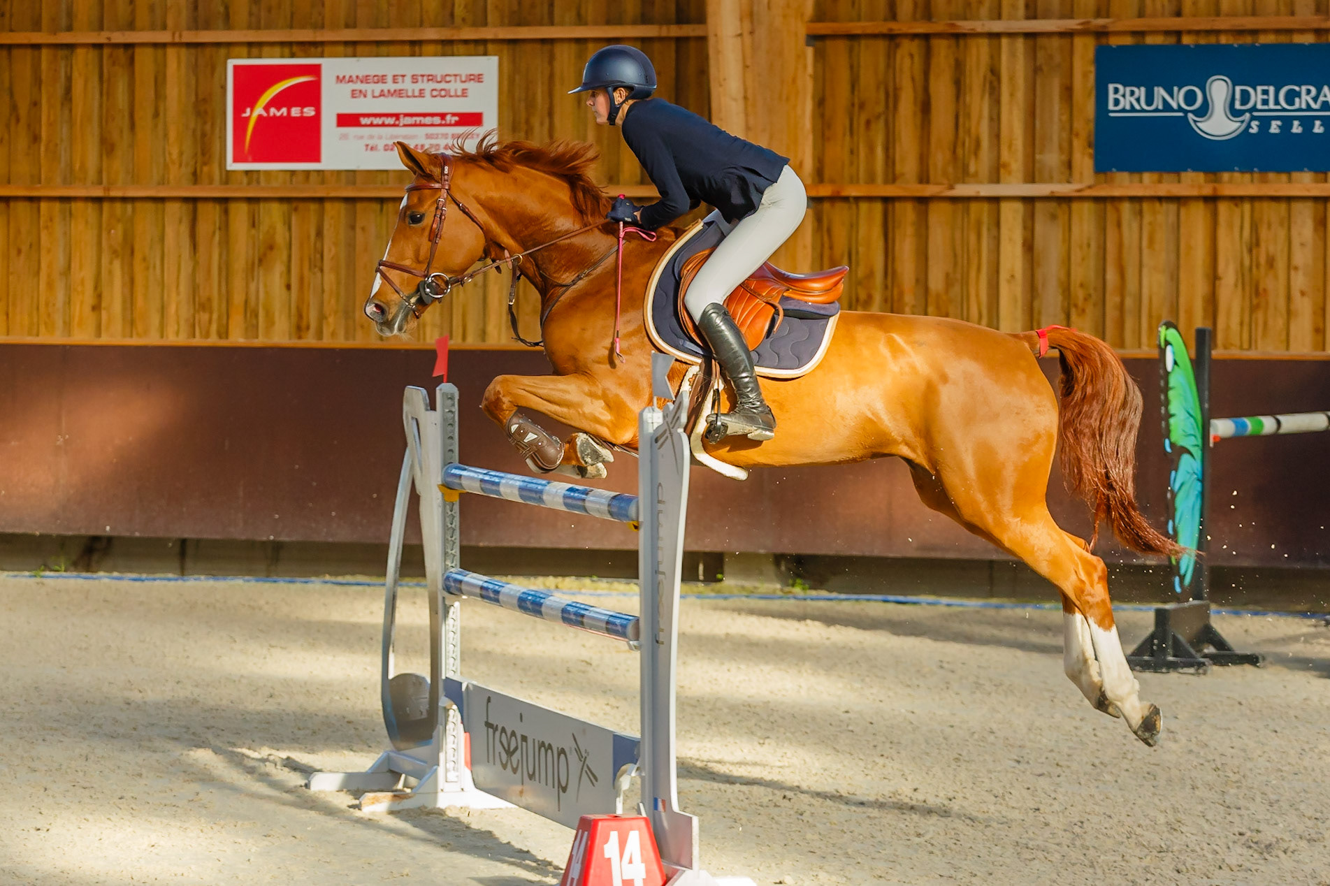 Concours hippique Liverdy-en Brie (77)