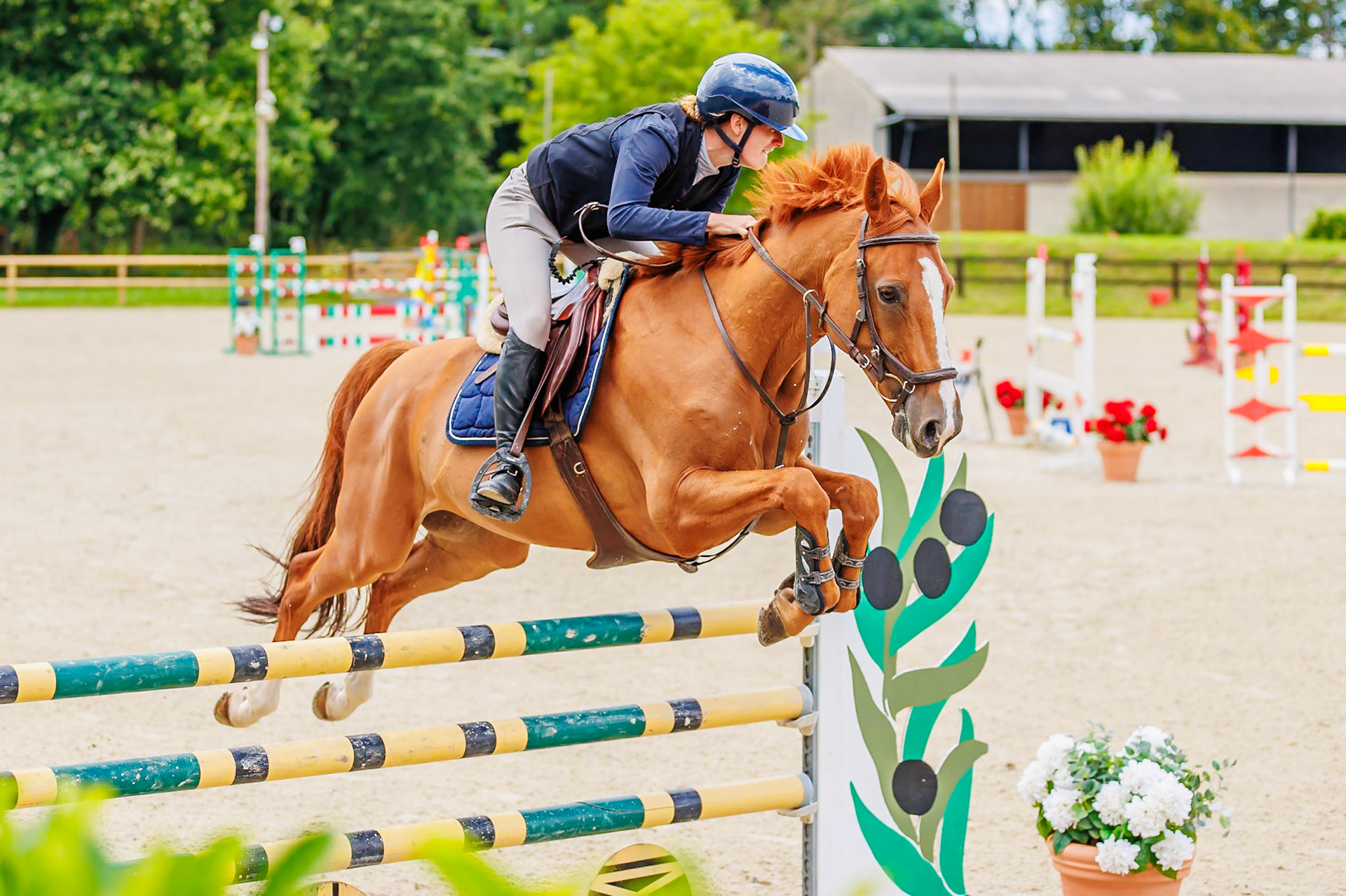 13 juillet 2024 / Haras de Liverdy-en-Brie / Seine-et-Marne / Saut d'obstacles Pro 3 Grand Prix (1.25 m)