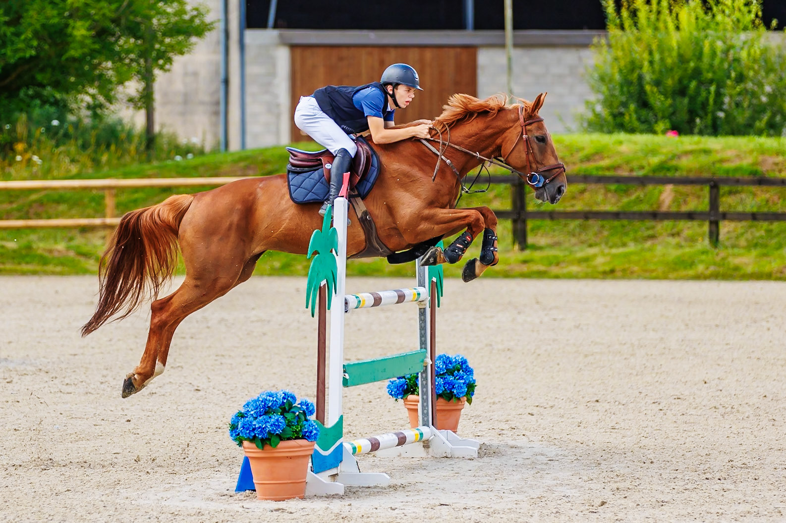 13 juillet 2024 / Haras de Liverdy-en-Brie / Seine-et-Marne / Saut d'obstacles Amateur 1  Grand Prix (1.20 m)