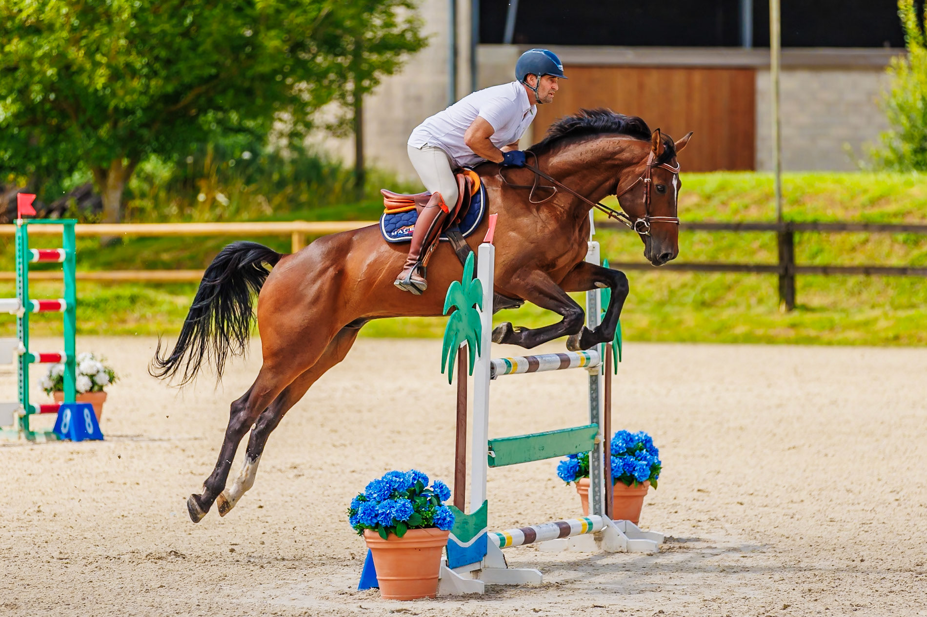 13 juillet 2024 / Haras de Liverdy-en-Brie / Seine-et-Marne / Saut d'obstacles Amateur 1  Grand Prix (1.20 m)