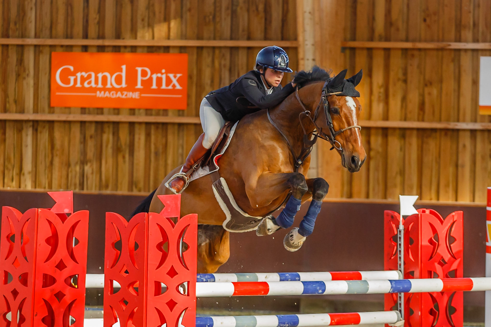 Concours hippique Liverdy-en Brie (77)