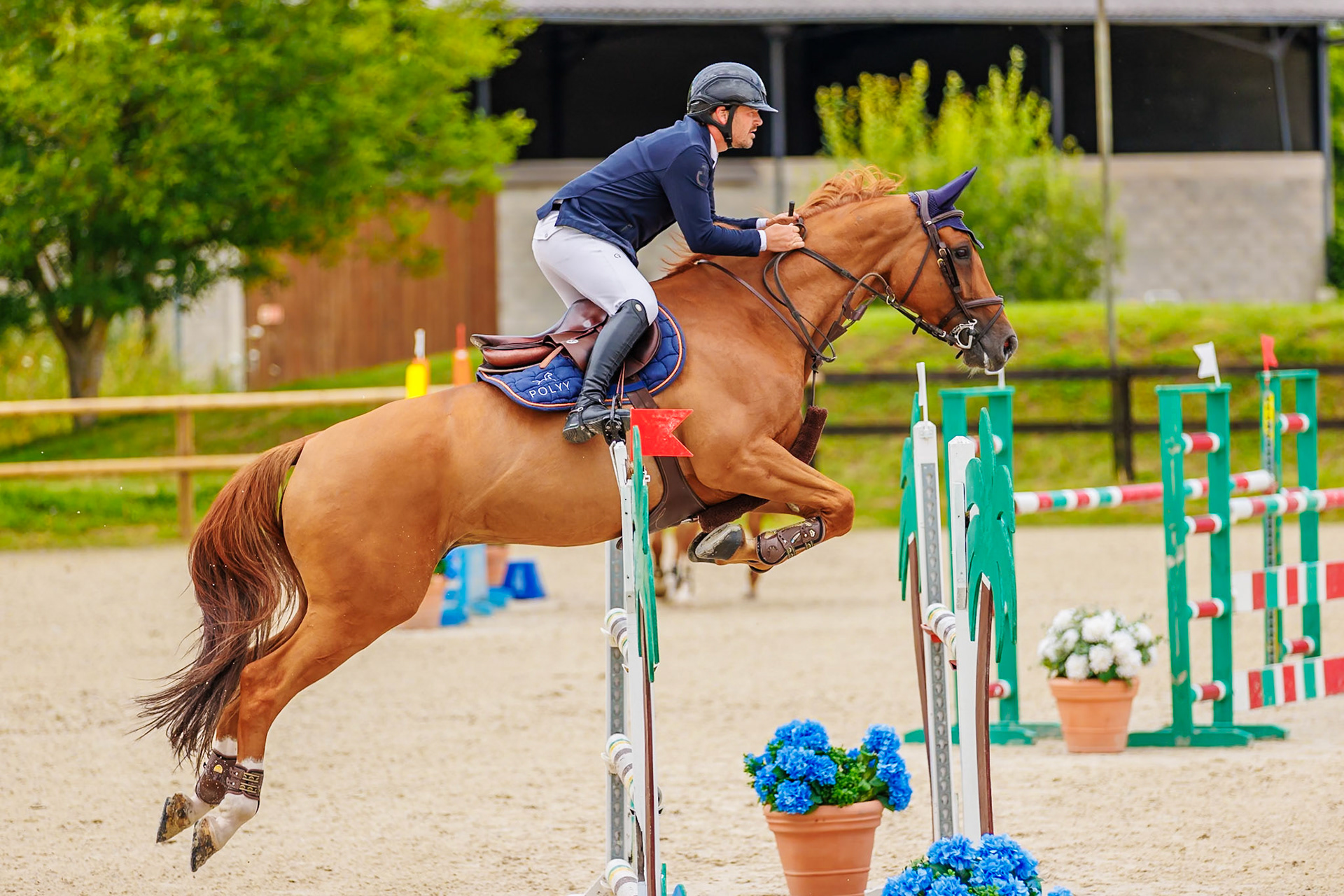 13 juillet 2024 / Haras de Liverdy-en-Brie / Seine-et-Marne / Saut d'obstacles Pro 3 Grand Prix (1.25 m)