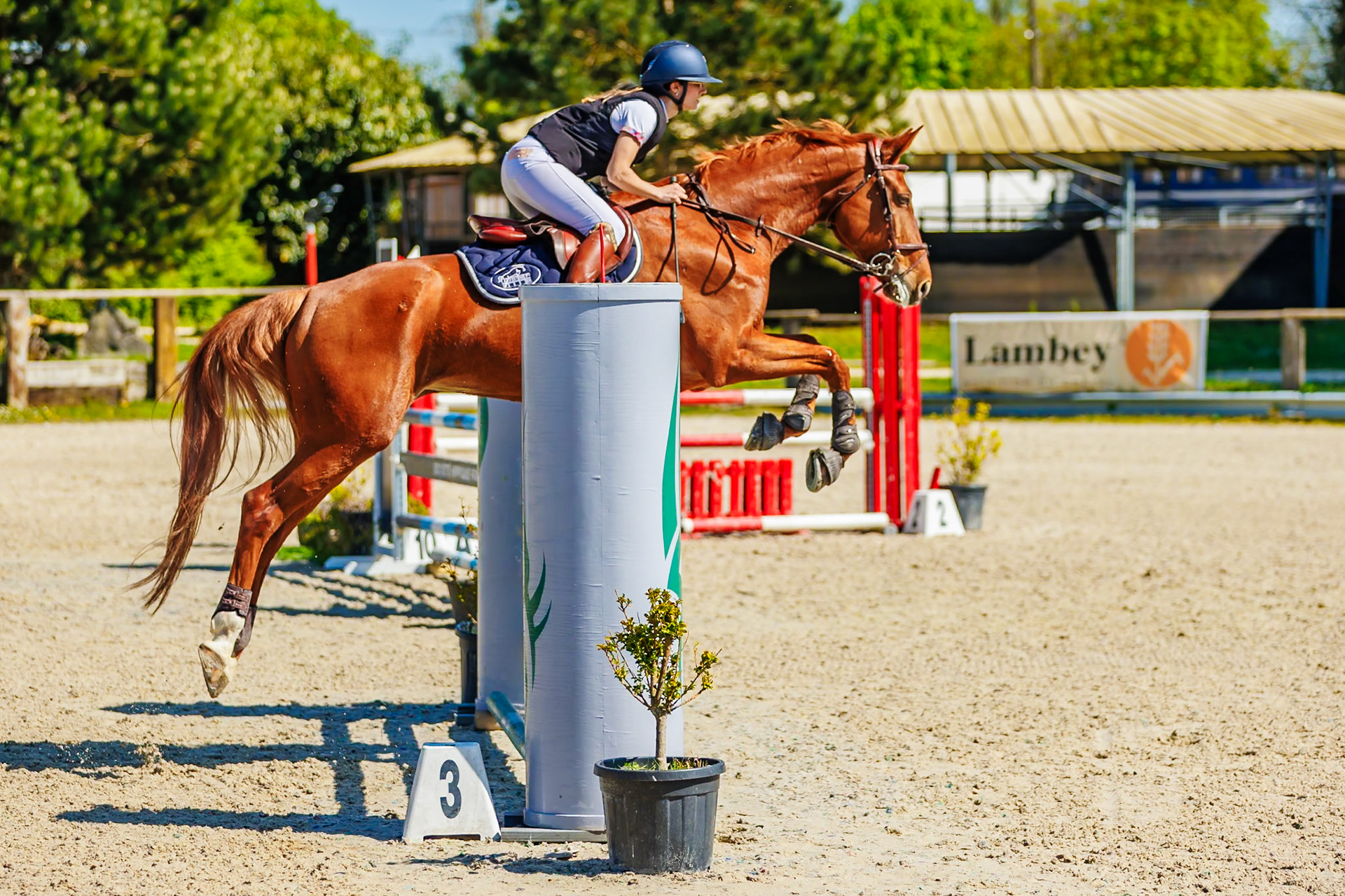 CSO Haras de Monthomé 24