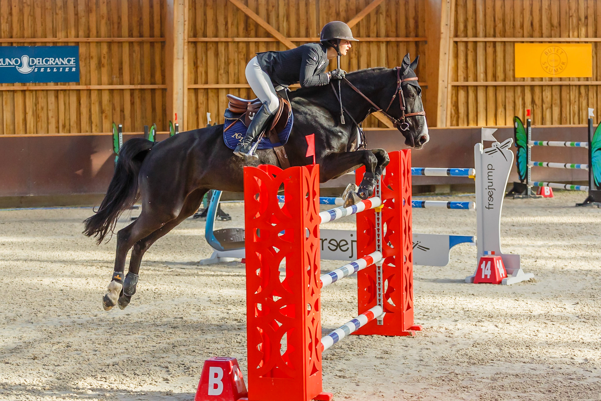 Concours hippique Liverdy-en Brie (77)