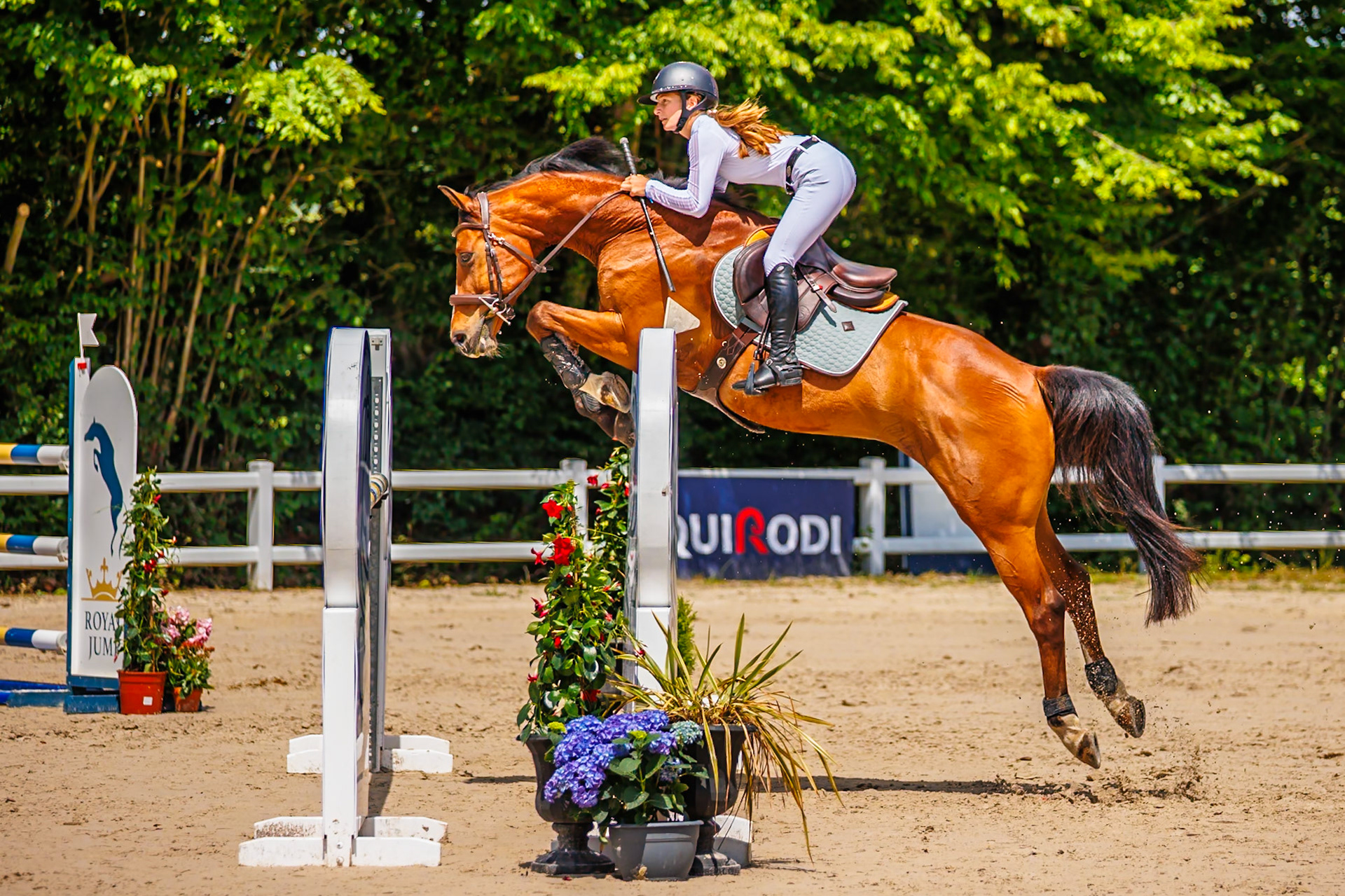 Royal Jump au Château de Brétichère 38