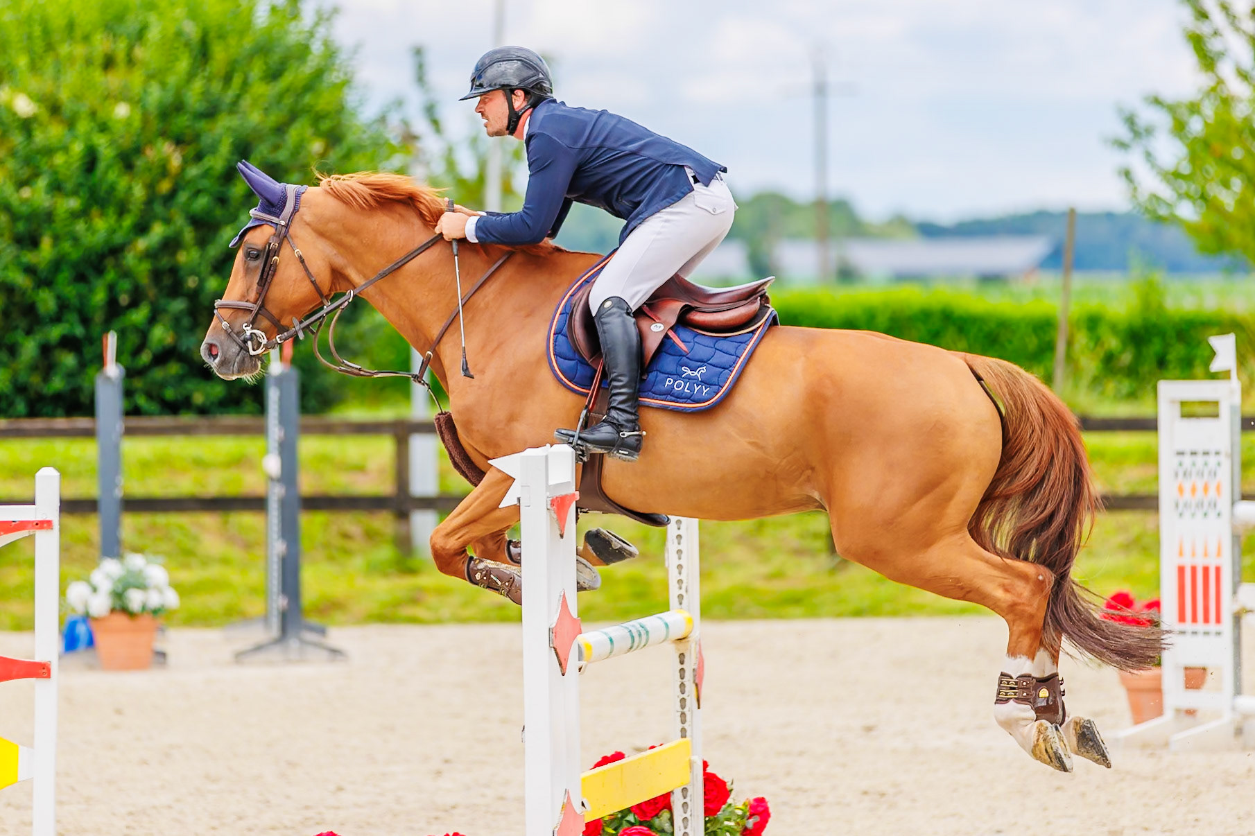 13 juillet 2024 / Haras de Liverdy-en-Brie / Seine-et-Marne / Saut d'obstacles Pro 3 Grand Prix (1.25 m)