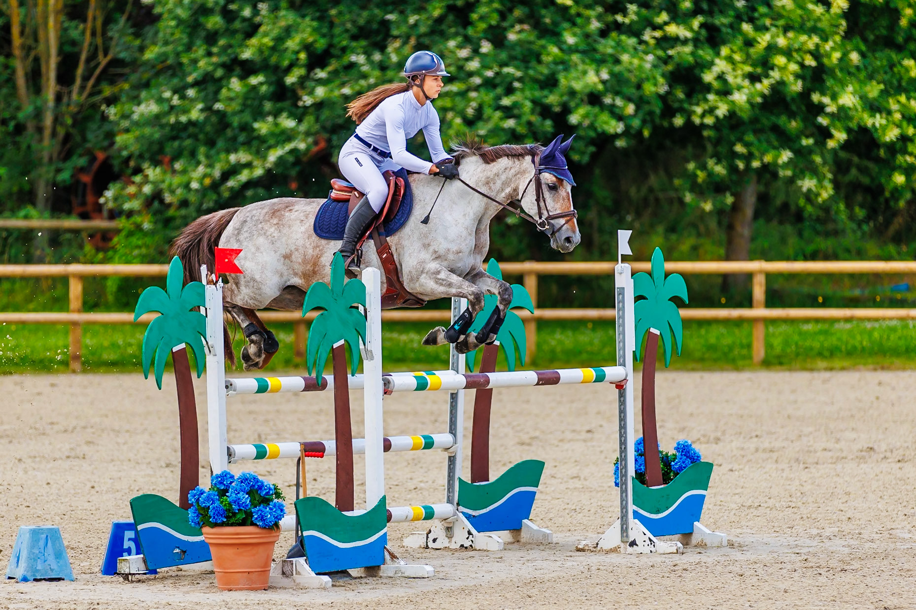 13 juillet 2024 / Haras de Liverdy-en-Brie / Seine-et-Marne / Saut d'obstacles Amateur 1  Grand Prix (1.20 m)