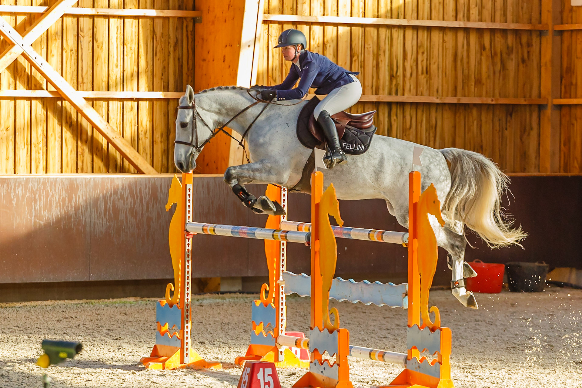 Concours hippique Liverdy-en Brie (77)