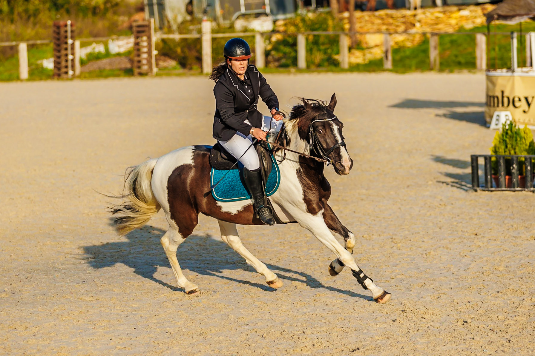 CSO haras De Monthomé