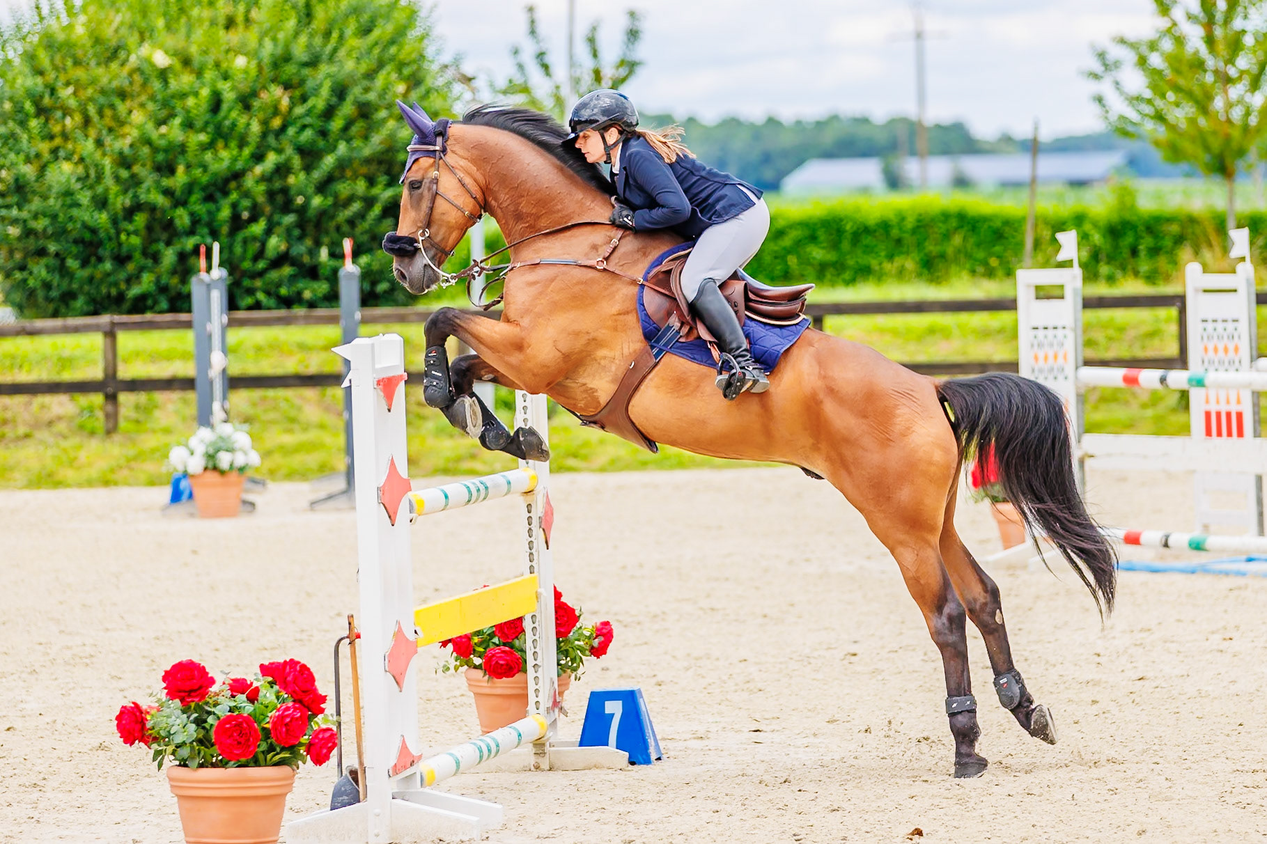 13 juillet 2024 / Haras de Liverdy-en-Brie / Seine-et-Marne / Saut d'obstacles Pro 3 Grand Prix (1.25 m)