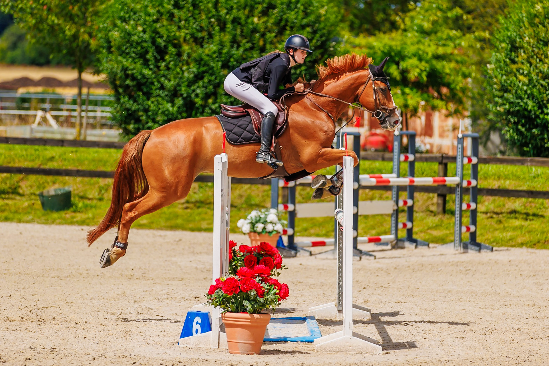 13 juillet 2024 / Haras de Liverdy-en-Brie / Seine-et-Marne / Saut d'obstacles Amateur 1  Grand Prix (1.20 m)