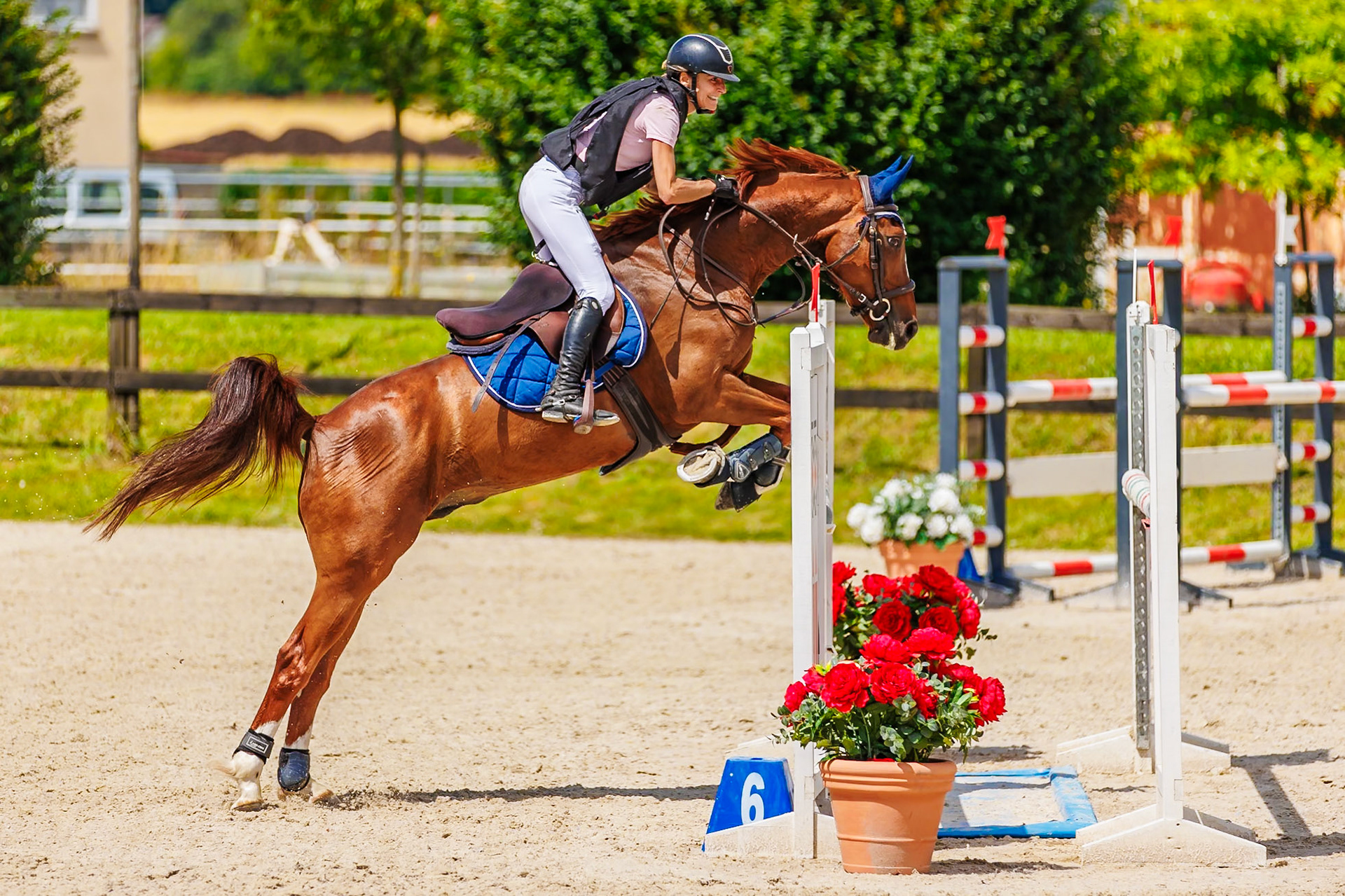 13 juillet 2024 / Haras de Liverdy-en-Brie / Seine-et-Marne / Saut d'obstacles Amateur 1  Grand Prix (1.20 m)