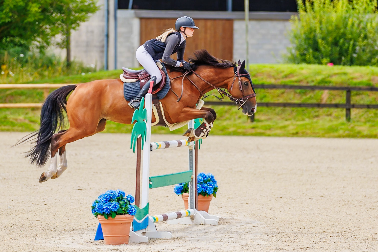 13 juillet 2024 / Haras de Liverdy-en-Brie / Seine-et-Marne / Saut d'obstacles Amateur 1  Grand Prix (1.20 m)