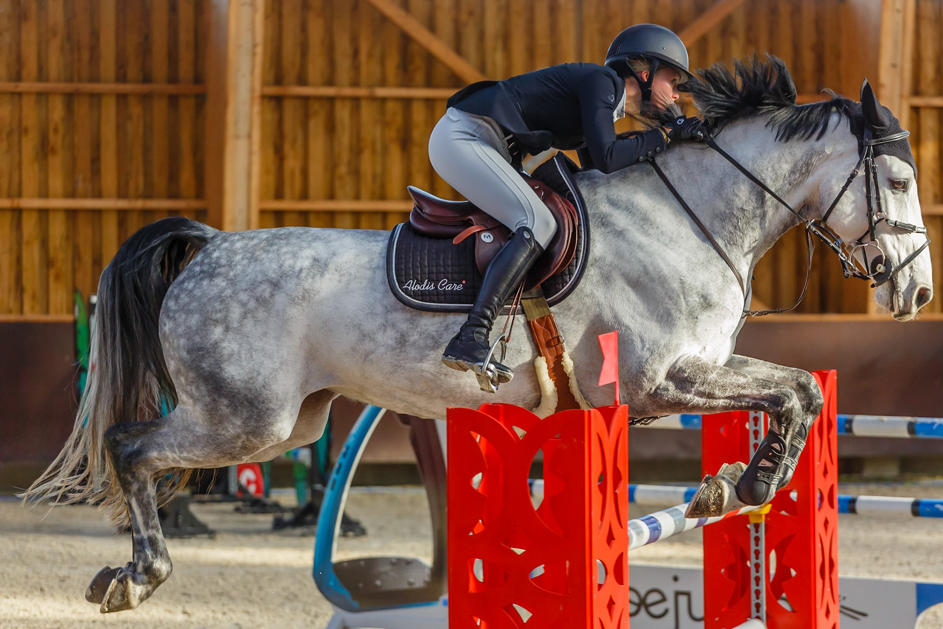 Concours hippique Liverdy-en Brie (77)