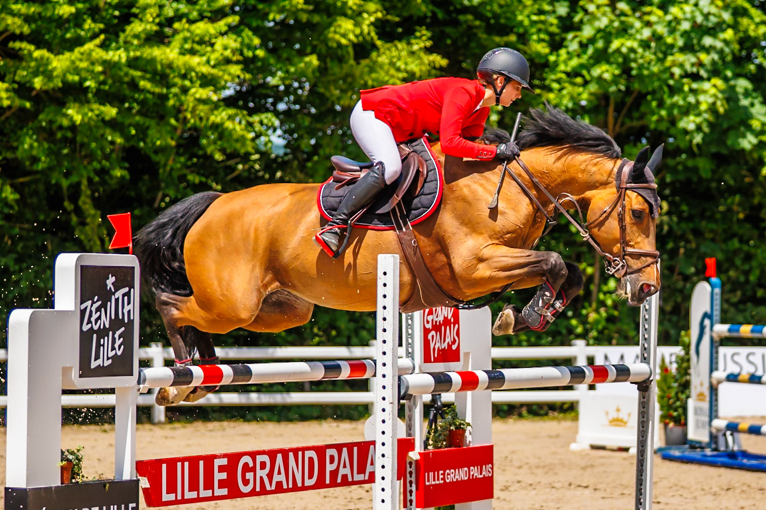 Royal Jump au Château de Brétichère 37
