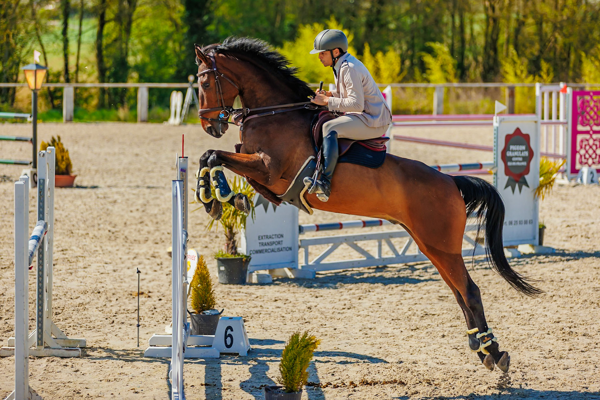 CSO Haras de Monthomé 68