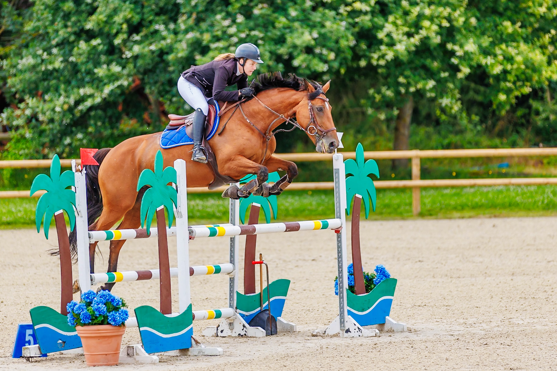 13 juillet 2024 / Haras de Liverdy-en-Brie / Seine-et-Marne / Saut d'obstacles Amateur 1  Grand Prix (1.20 m)