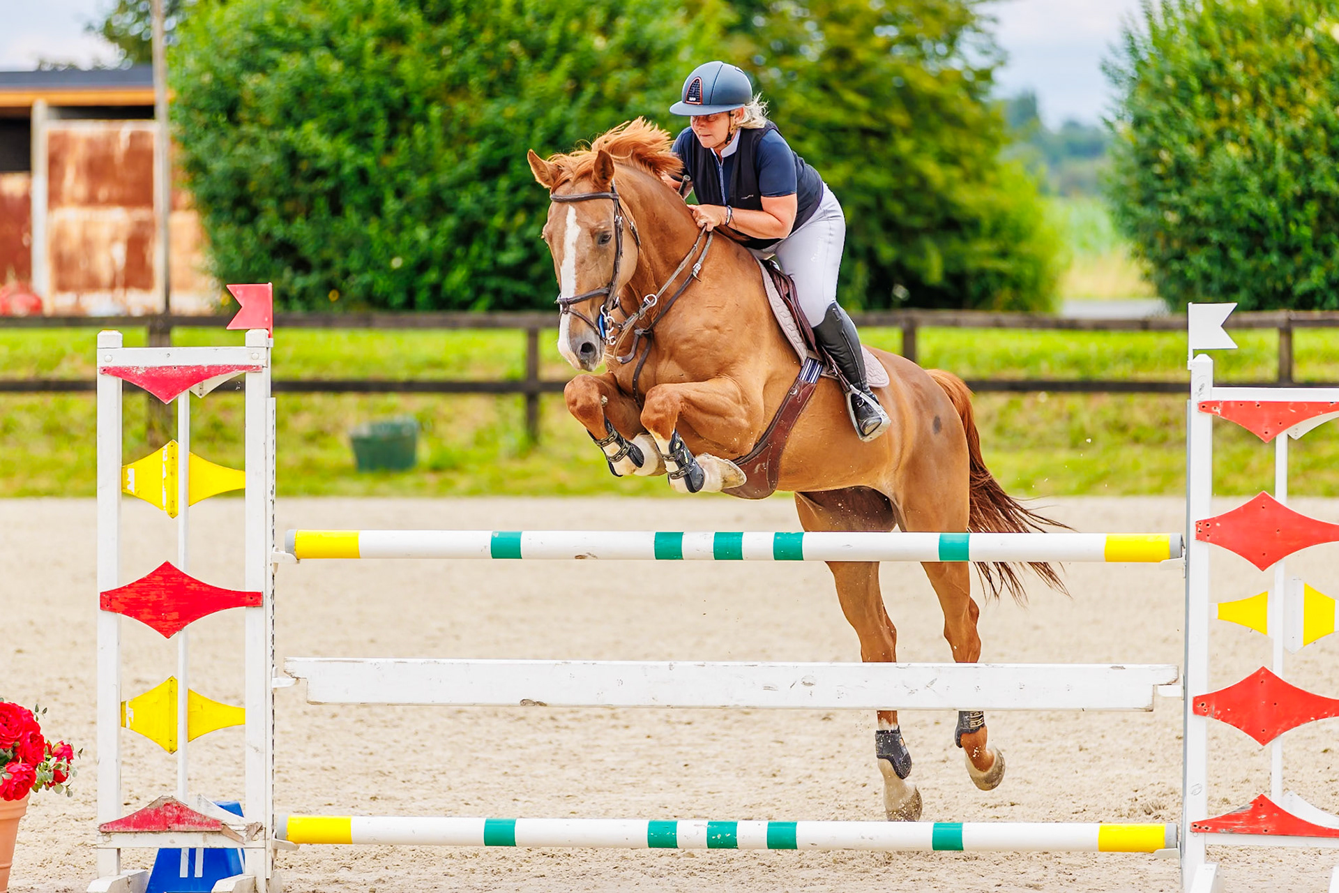 13 juillet 2024 / Haras de Liverdy-en-Brie / Seine-et-Marne / Saut d'obstacles Pro 3 Grand Prix (1.25 m)