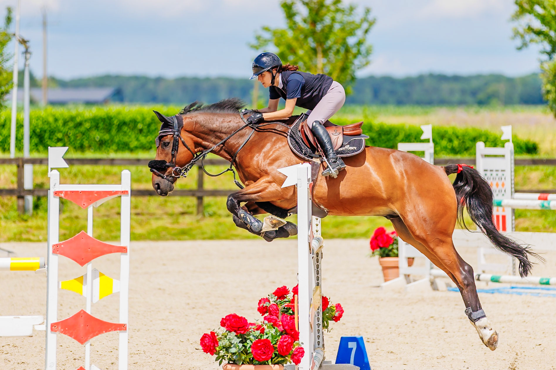 13 juillet 2024 / Haras de Liverdy-en-Brie / Seine-et-Marne / Saut d'obstacles Amateur 1  Grand Prix (1.20 m)