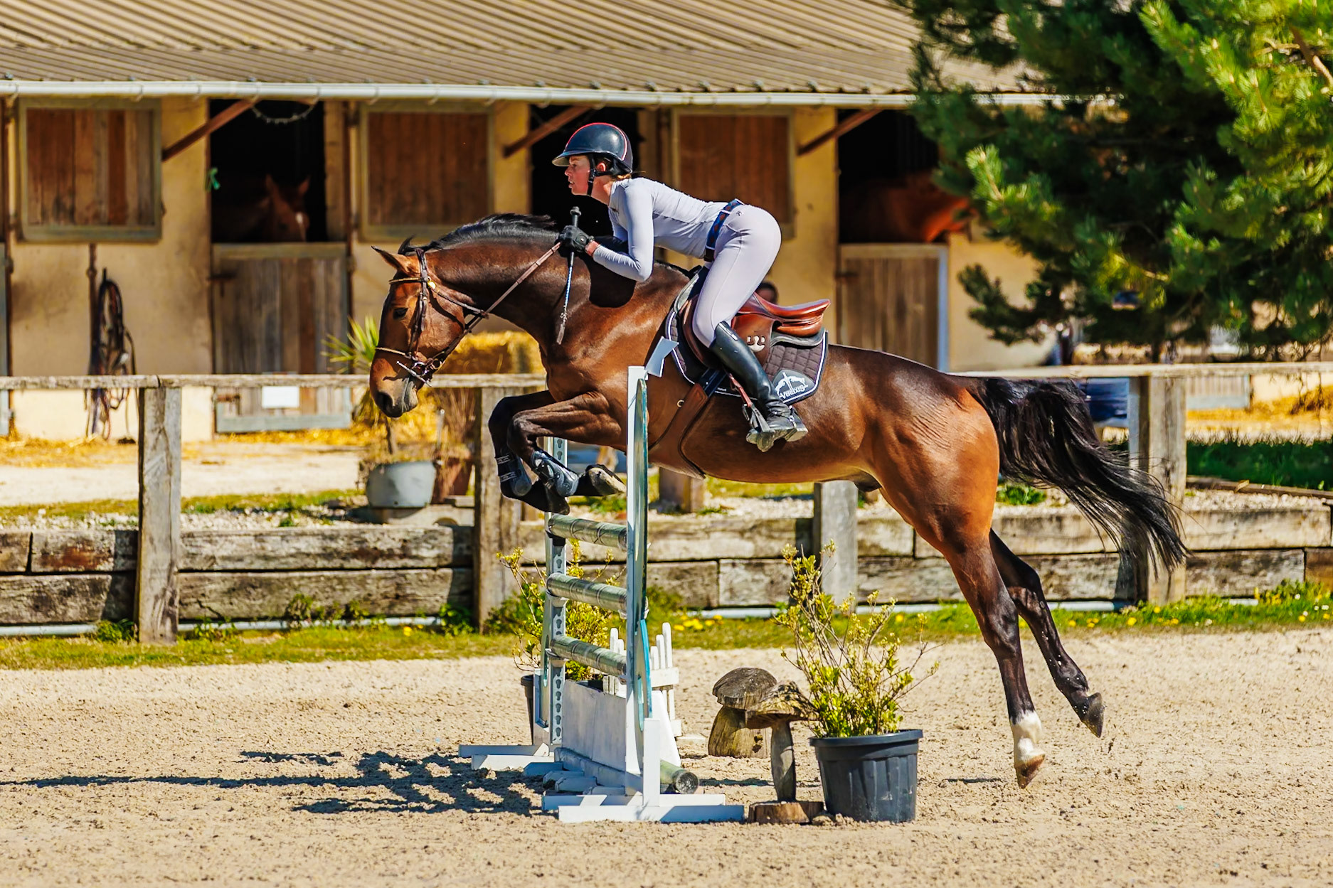 CSO Haras de Monthomé 12
