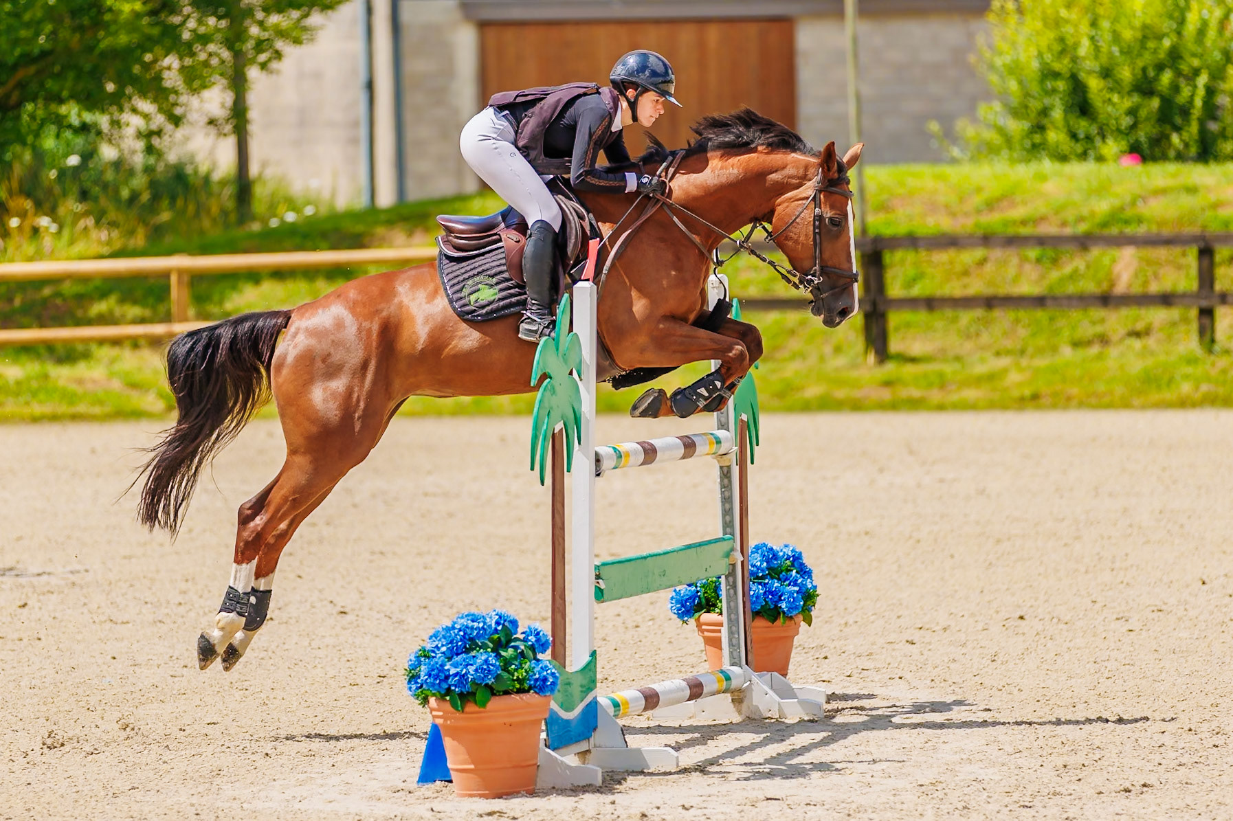 13 juillet 2024 / Haras de Liverdy-en-Brie / Seine-et-Marne / Saut d'obstacles Amateur 1  Grand Prix (1.20 m)