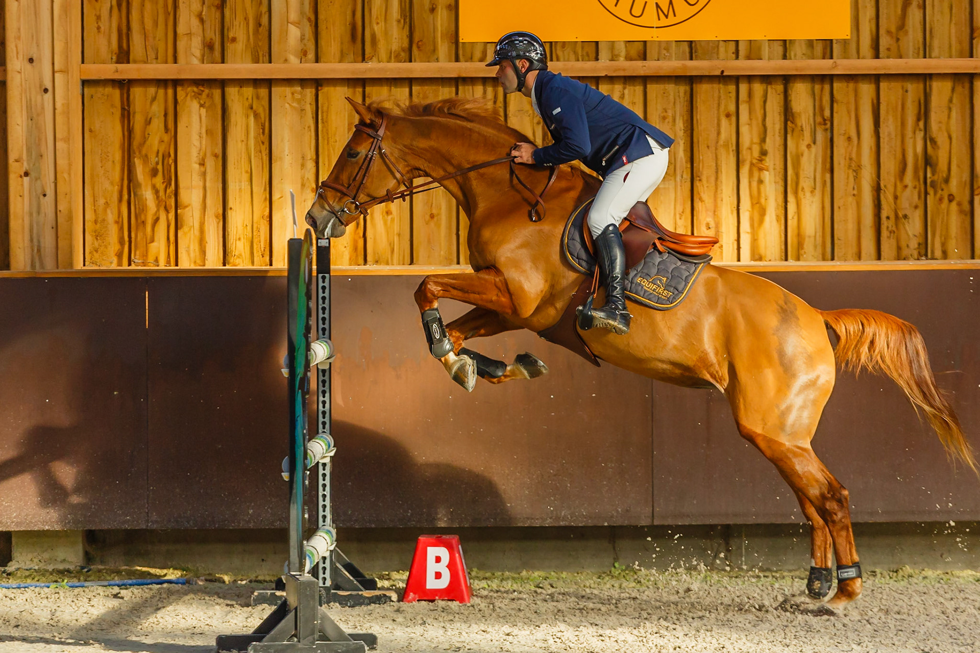 Concours hippique Liverdy-en Brie (77)