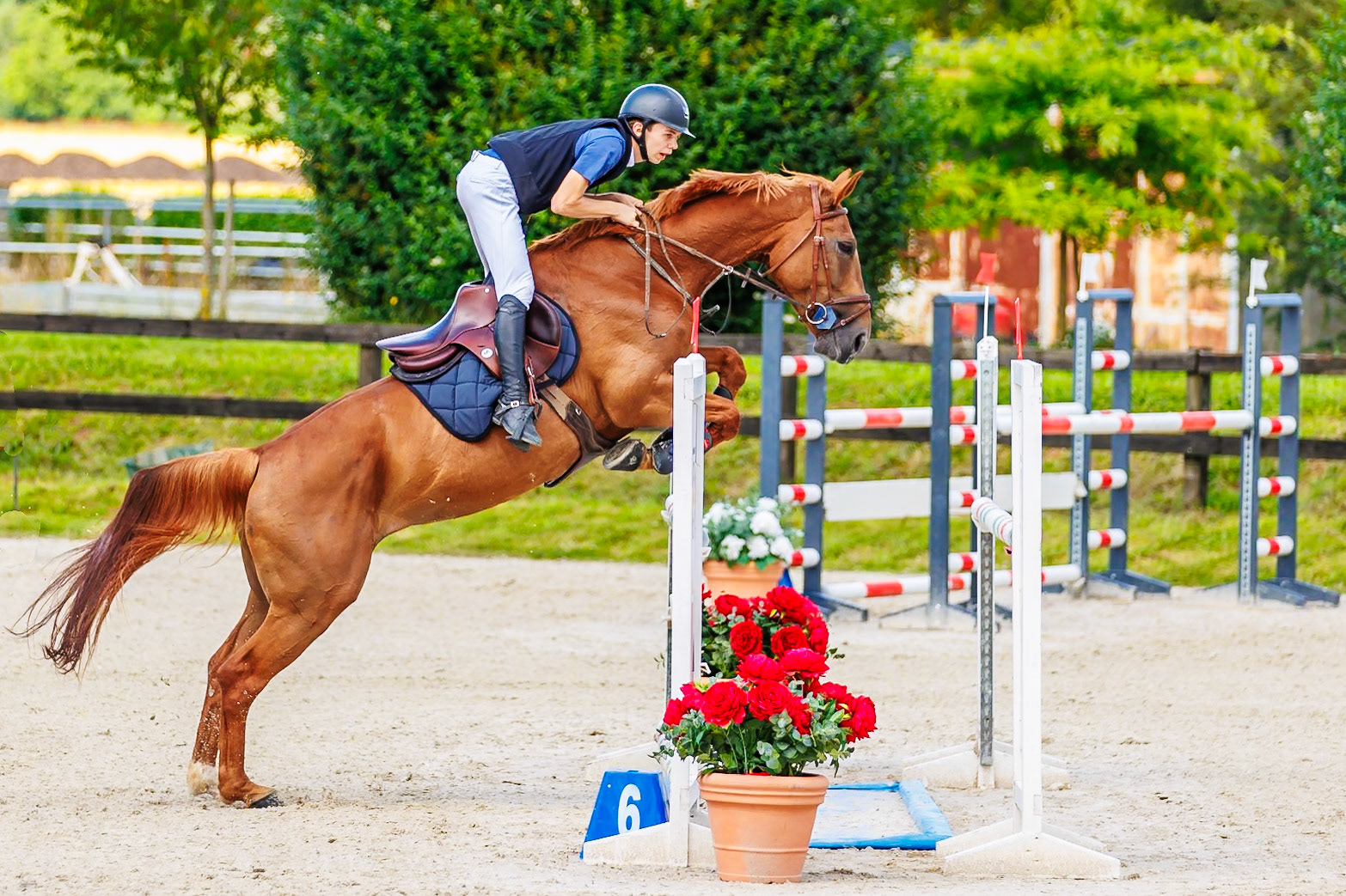 13 juillet 2024 / Haras de Liverdy-en-Brie / Seine-et-Marne / Saut d'obstacles Amateur 1  Grand Prix (1.20 m)