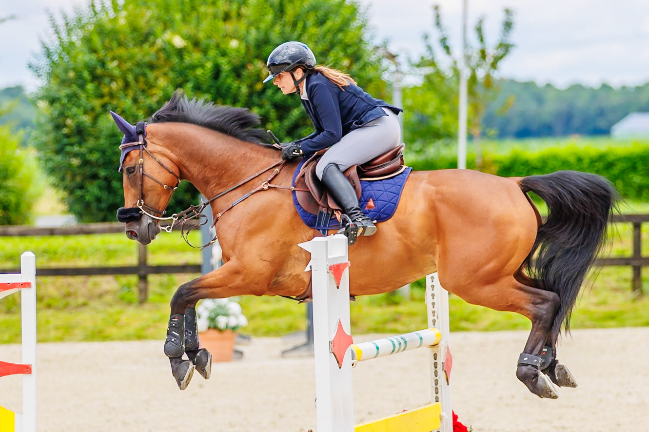 13 juillet 2024 / Haras de Liverdy-en-Brie / Seine-et-Marne / Saut d'obstacles Pro 3 Grand Prix (1.25 m)