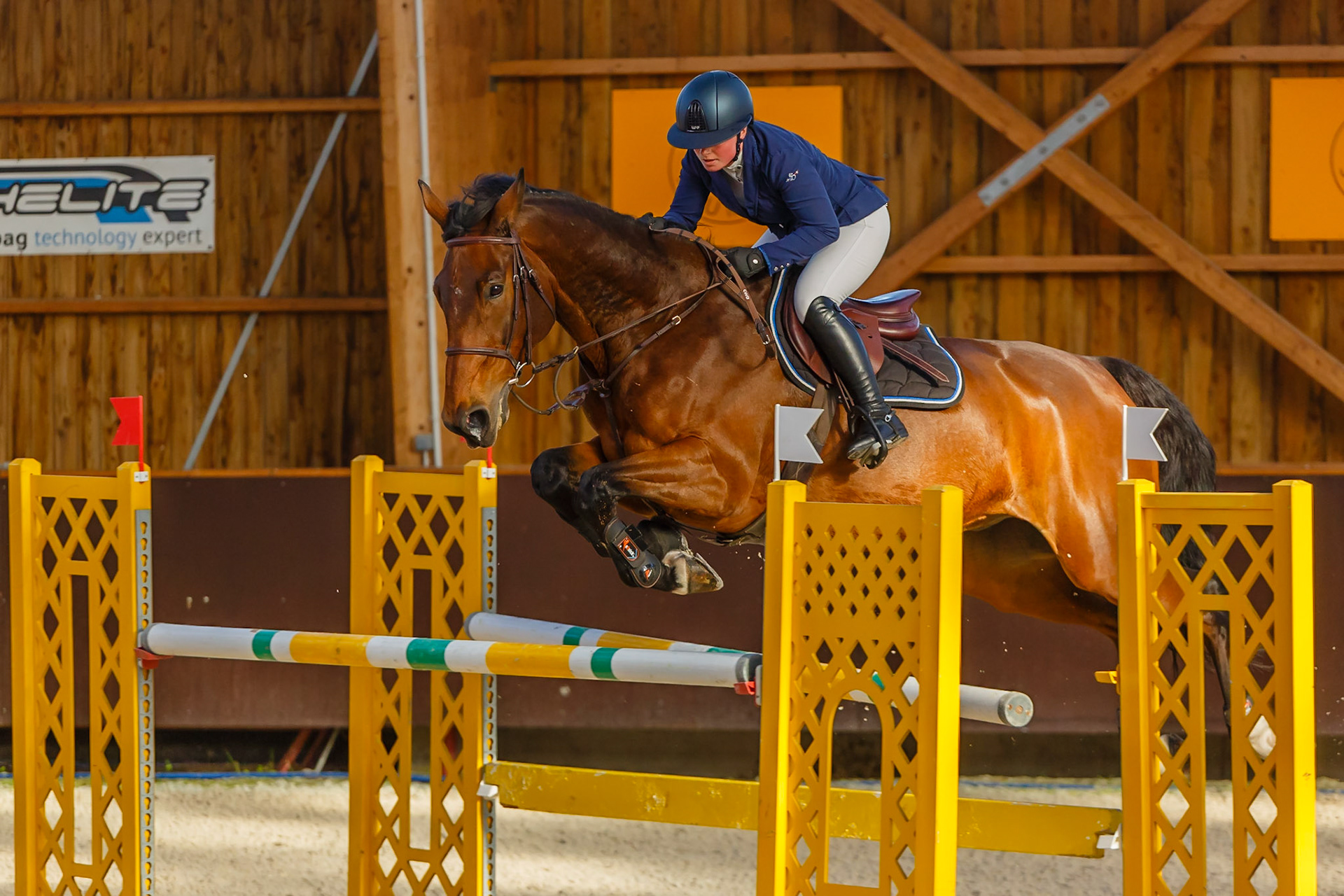Concours hippique Liverdy-en Brie (77)