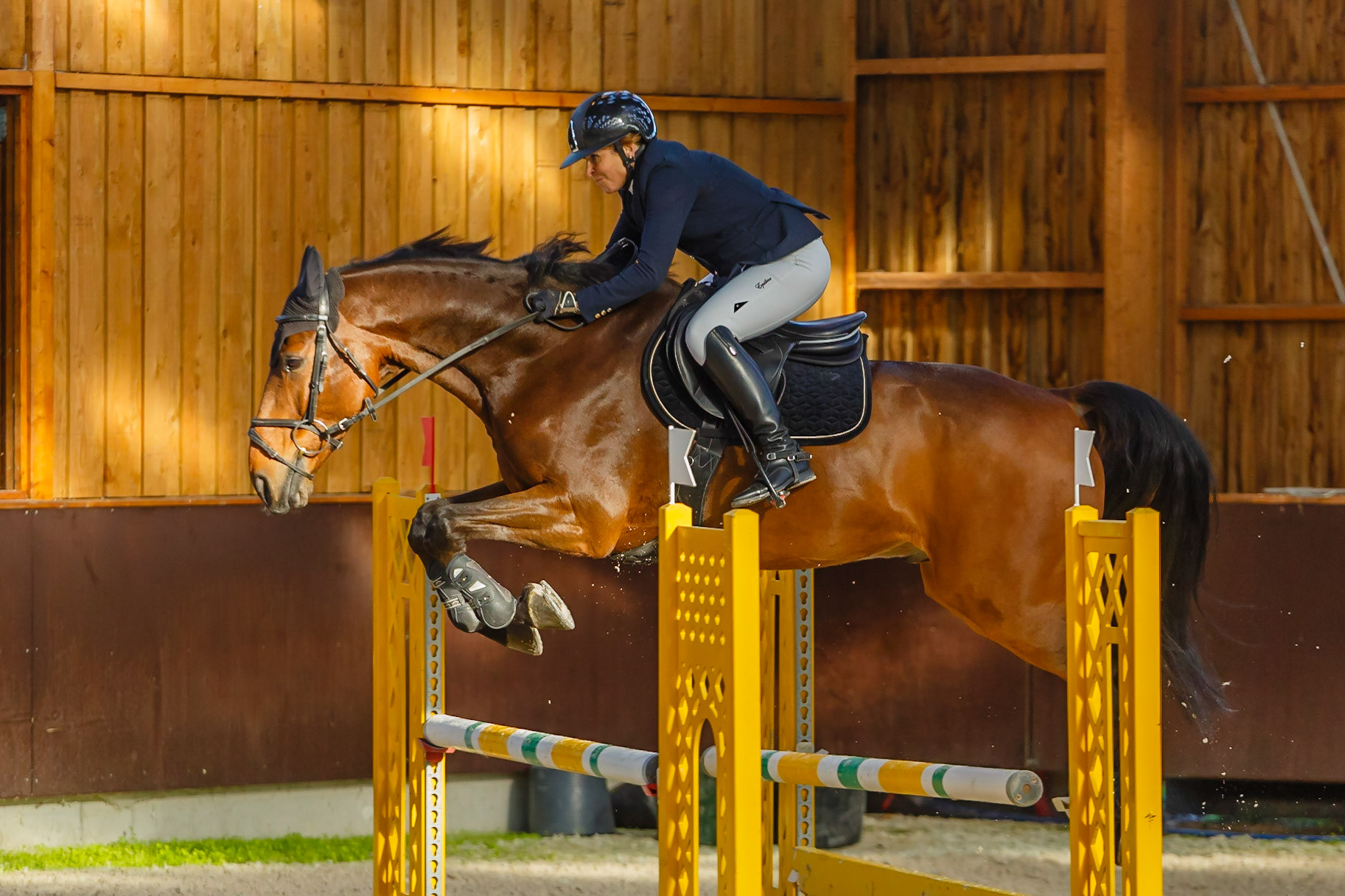 Concours hippique Liverdy-en Brie (77)