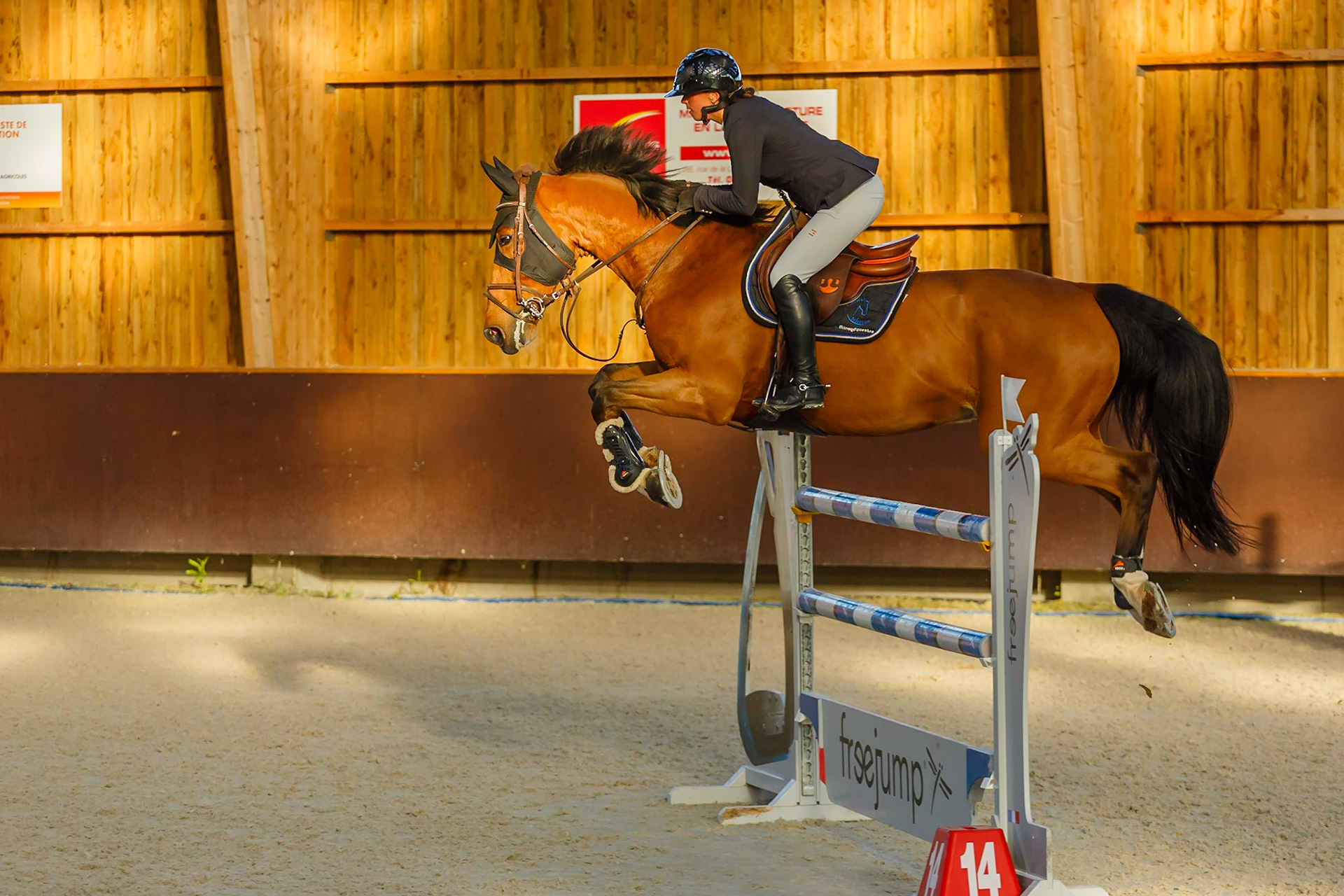 Concours hippique Liverdy-en Brie (77)