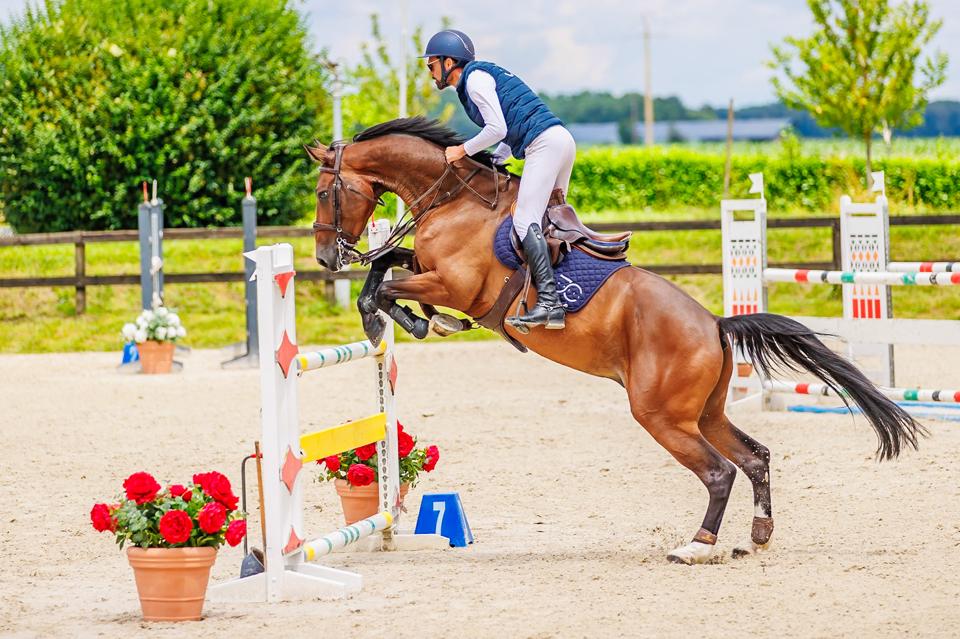13 juillet 2024 / Haras de Liverdy-en-Brie / Seine-et-Marne / Saut d'obstacles Pro 3 Grand Prix (1.25 m)