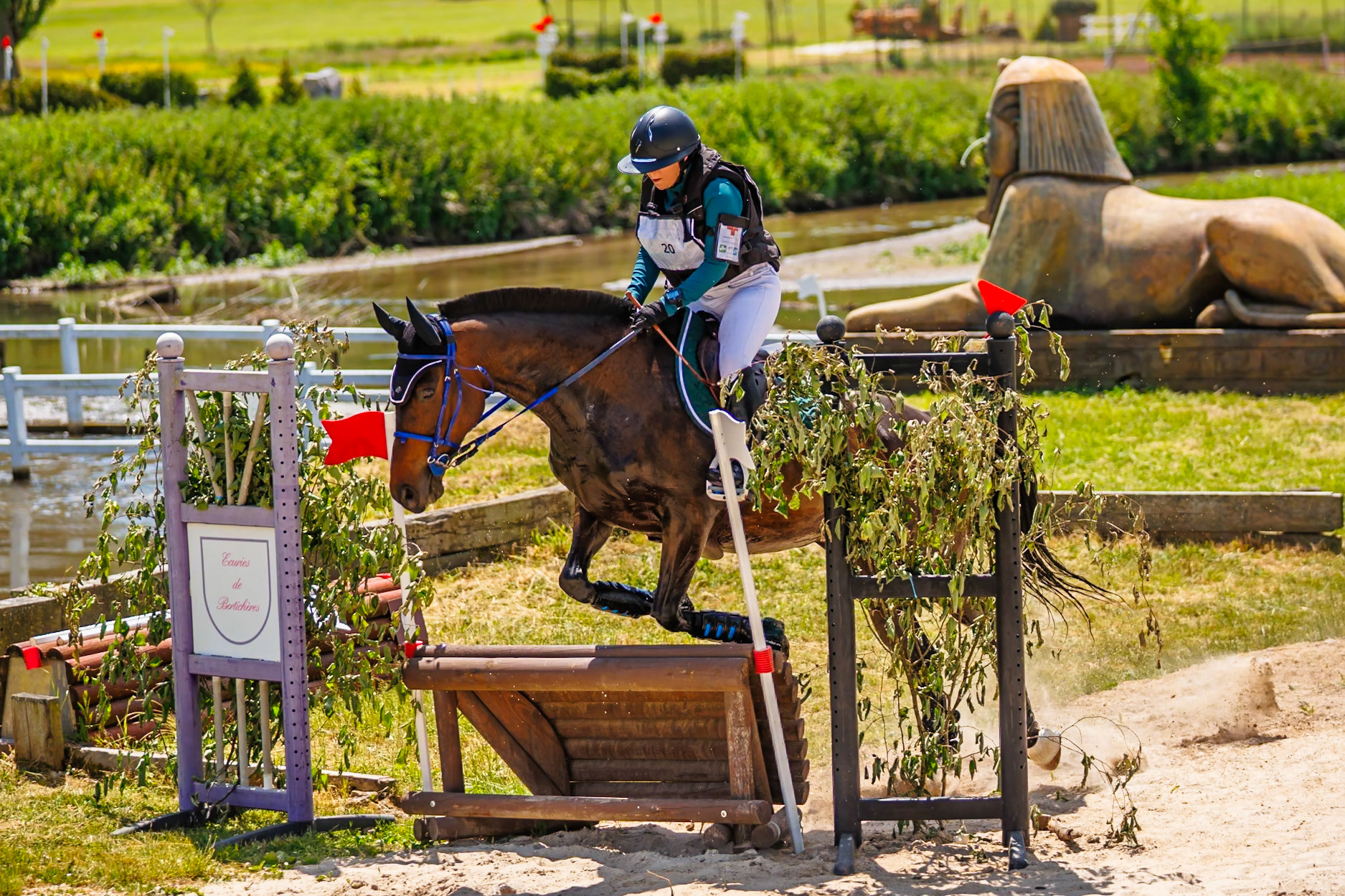 Royal Jump au Château de Brétichère 60