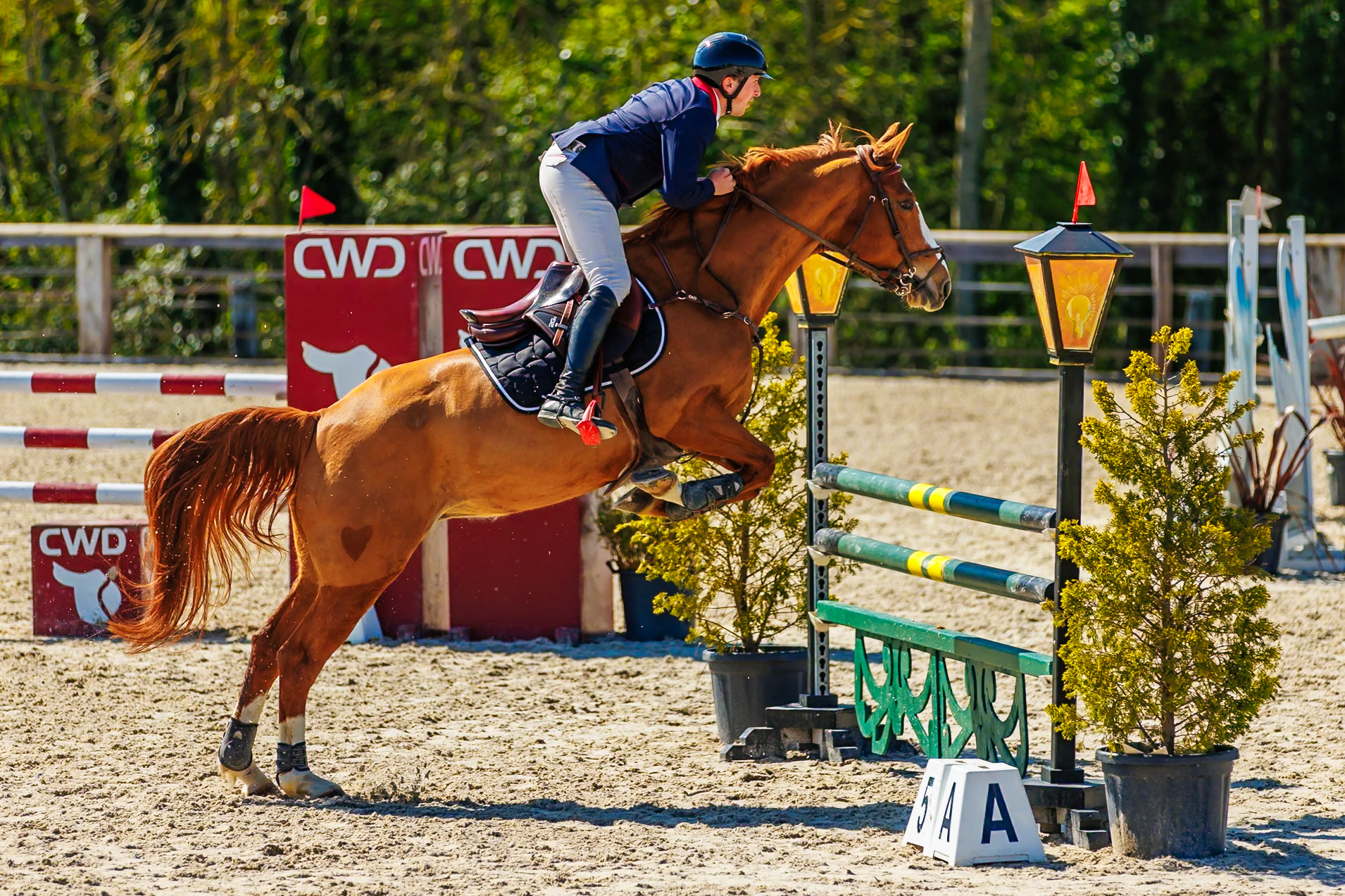 CSO Haras de Monthomé 51